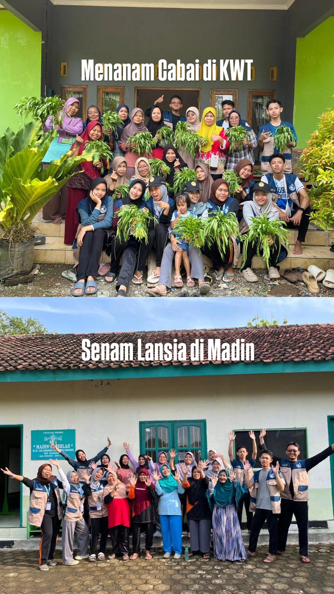 Senam dan Menanam Cabai