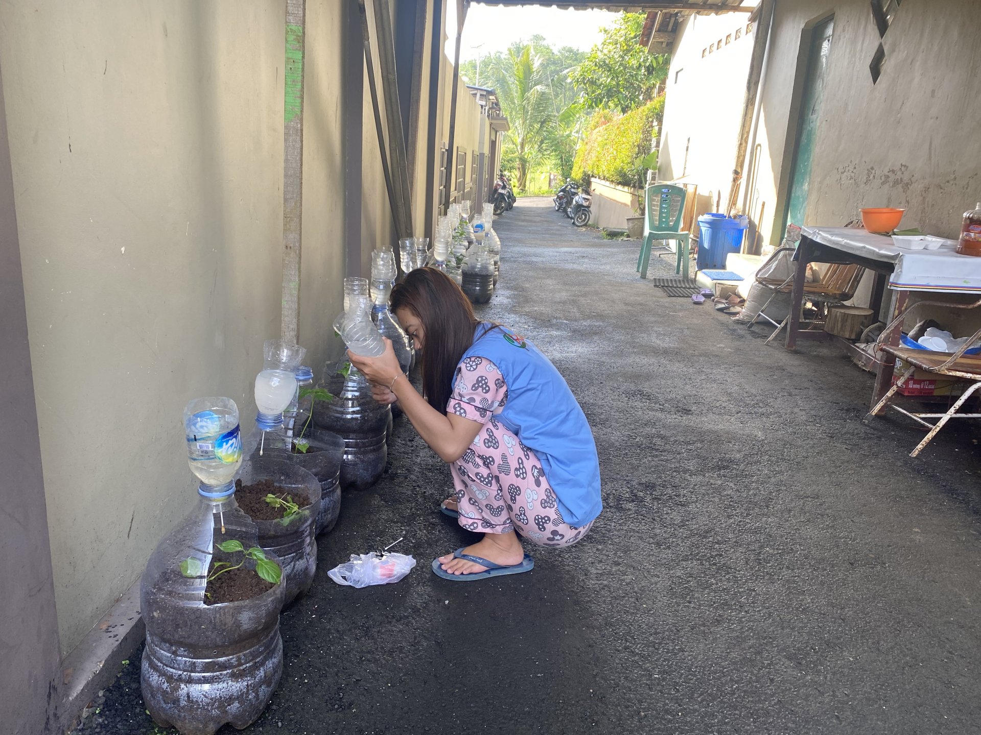monitoring pekarangan