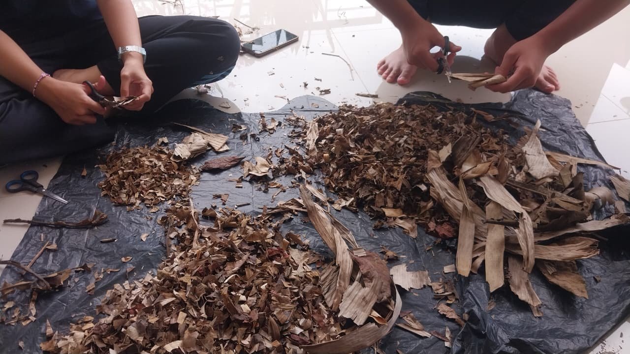 Mencacah Daun untuk Pembuatan Pupuk Kompos