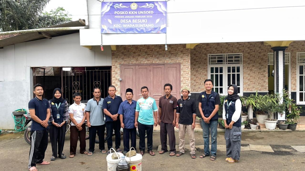 Pembuatan Jerami Padi Amoniasi (JPA)