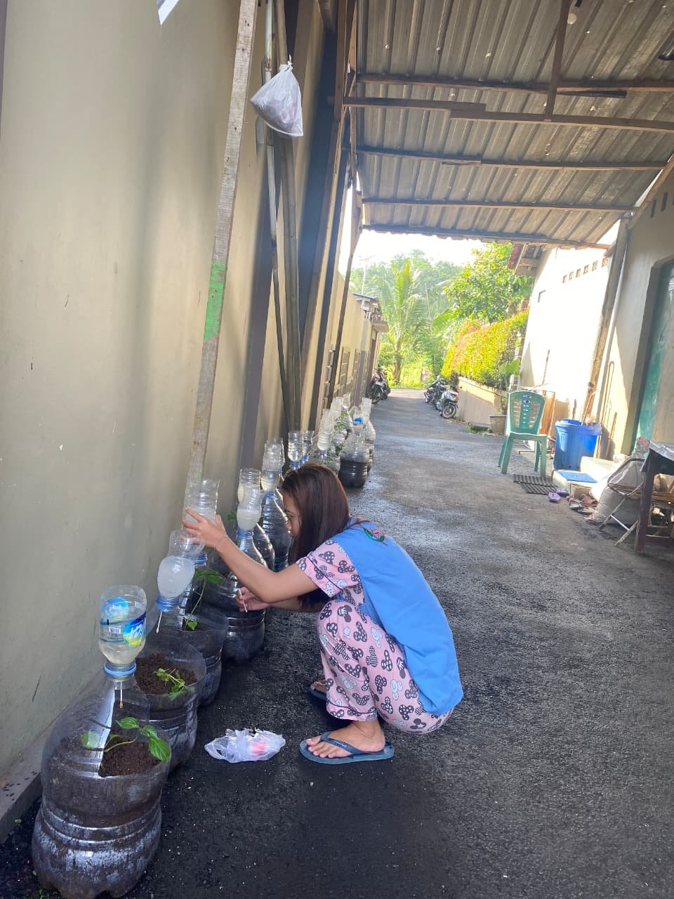 Piket Monitoring Intensifikasi Tanaman