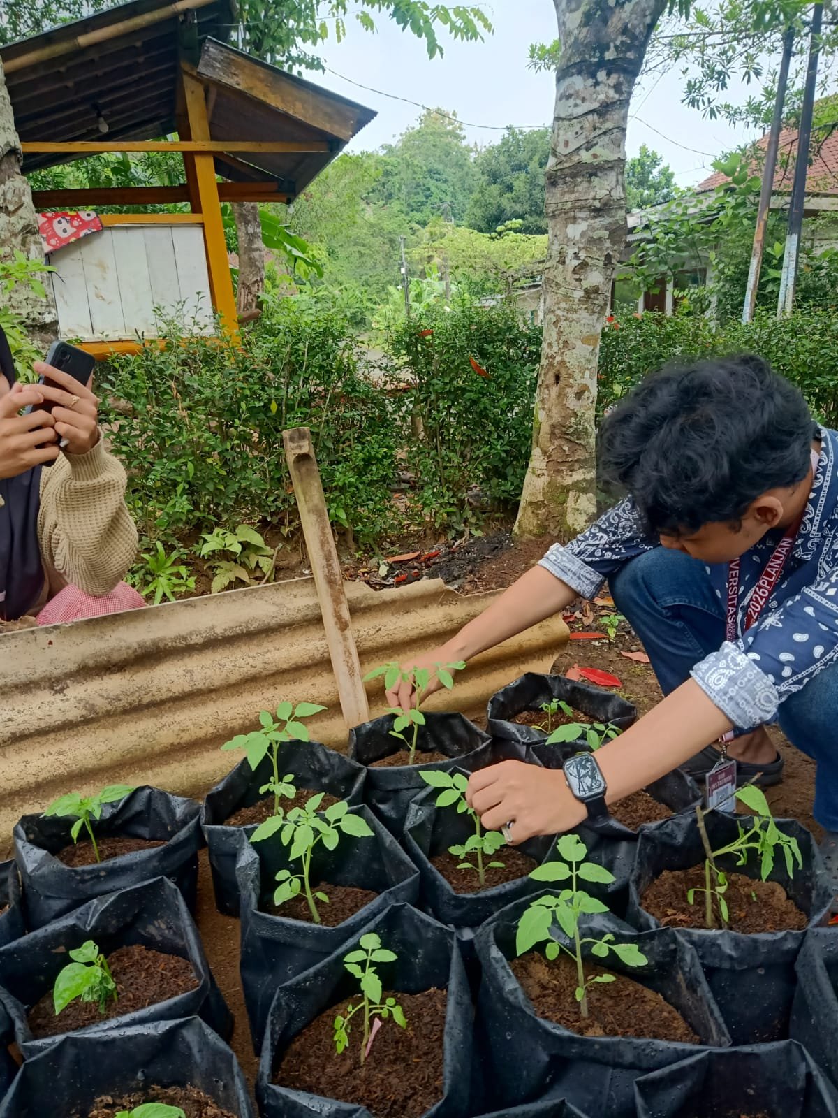 CONTROLLING INTENSIFIKASI PEKARANGAN