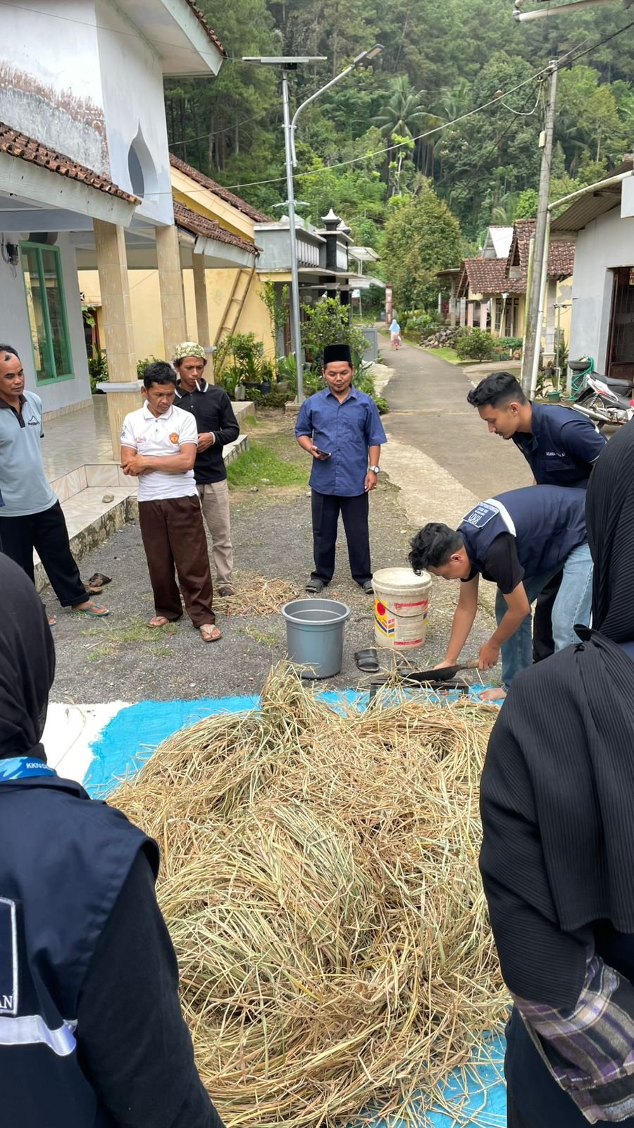 Program Kerja Pakan Ternak Alternatif dan Pupuk Organik