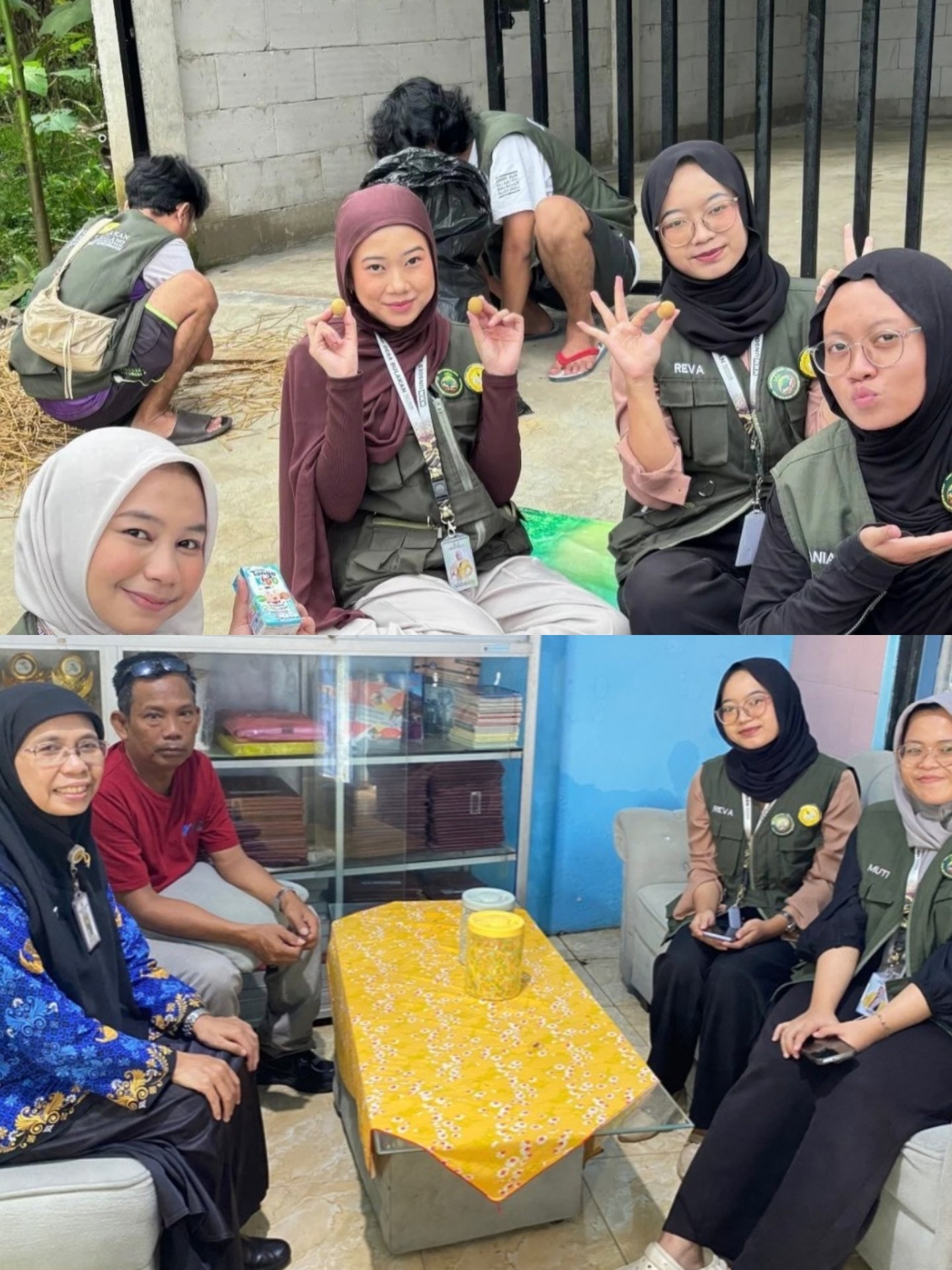 pembyatan pakan ternak silase  dan koordinasi dengan sd