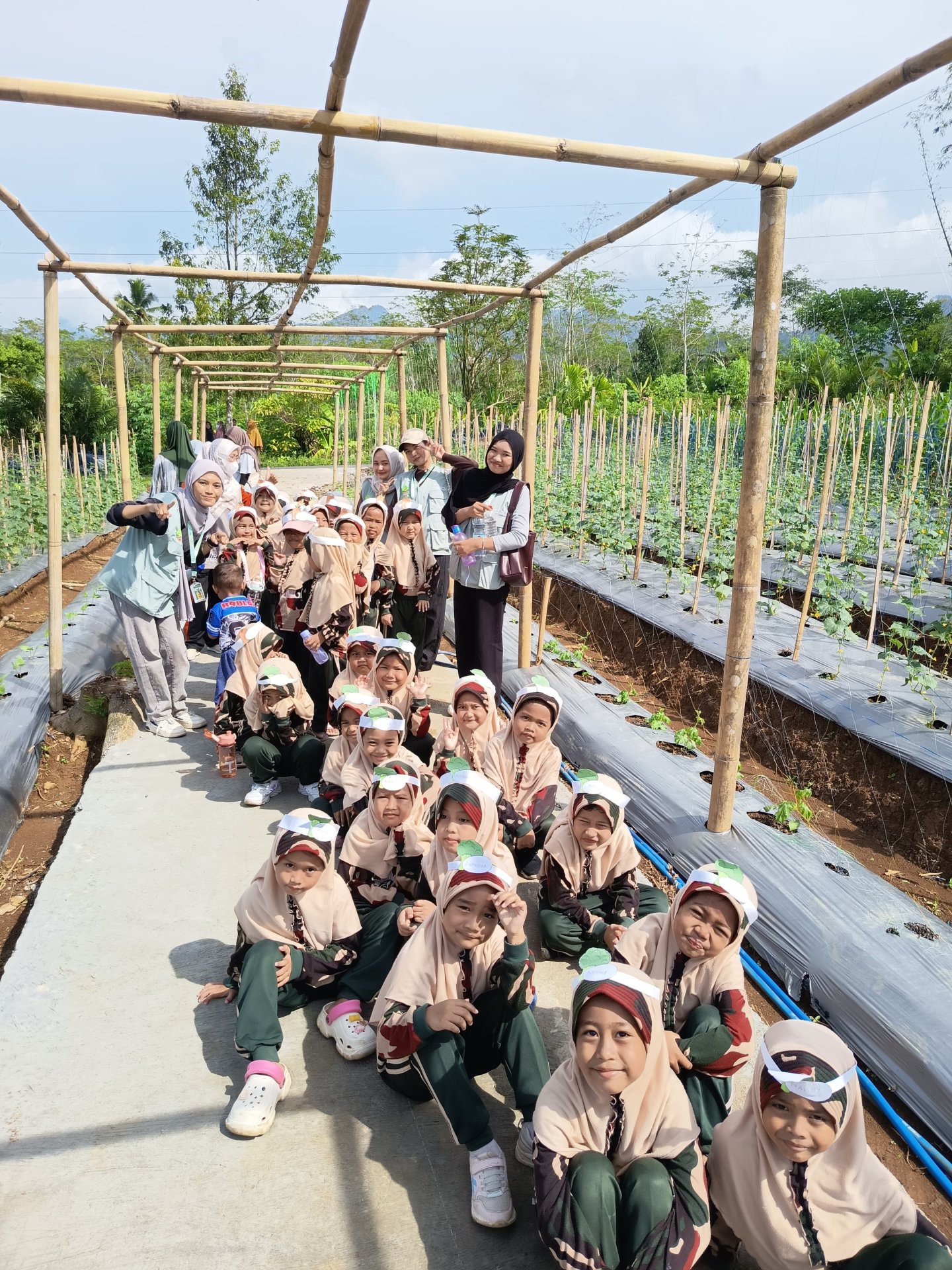 Education farming
