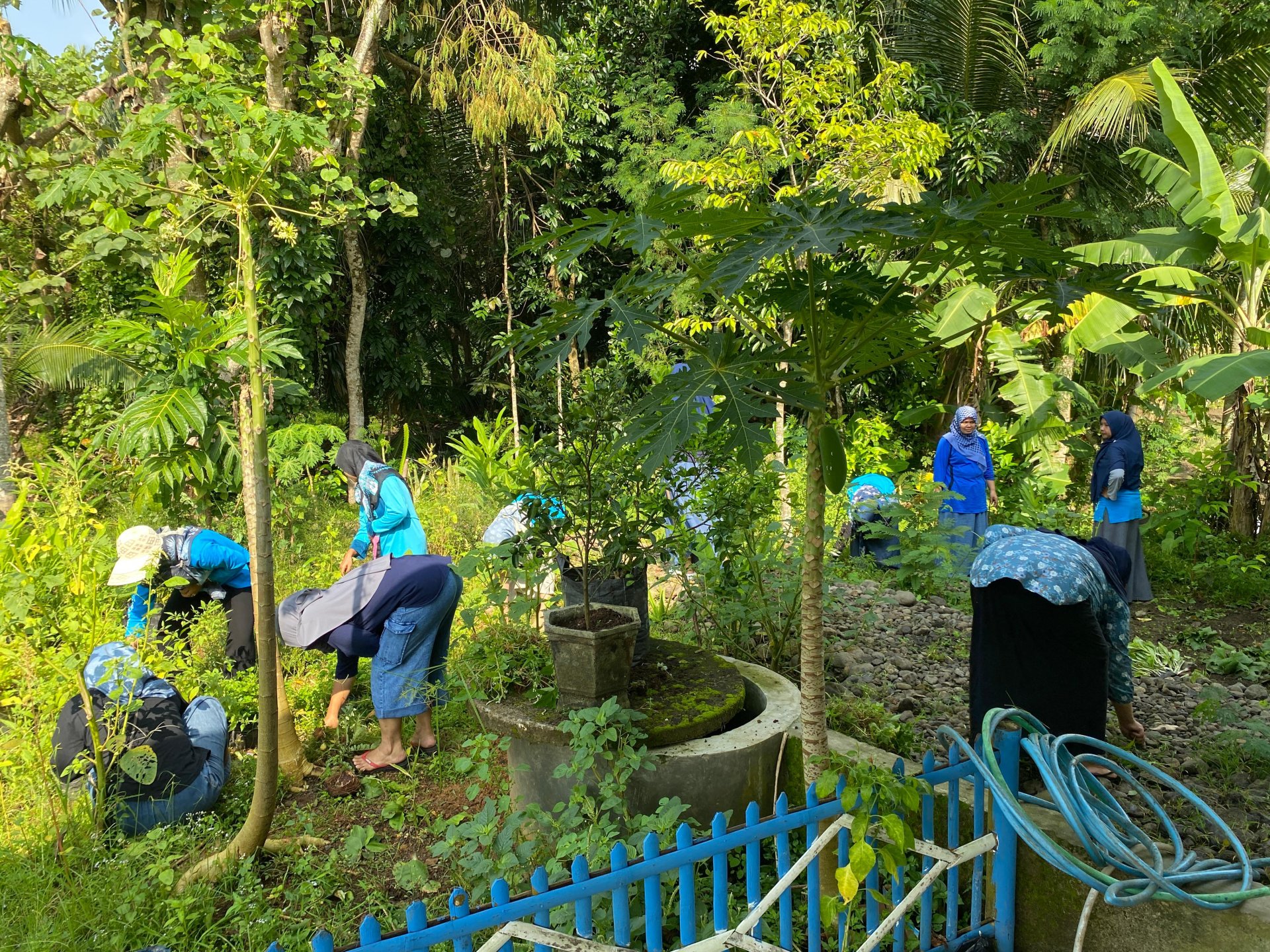 KKN Desa Gumelem Kulon melakukan kerja bakti membersihkan lahan pekarangan bersama ibu-ibu PKK