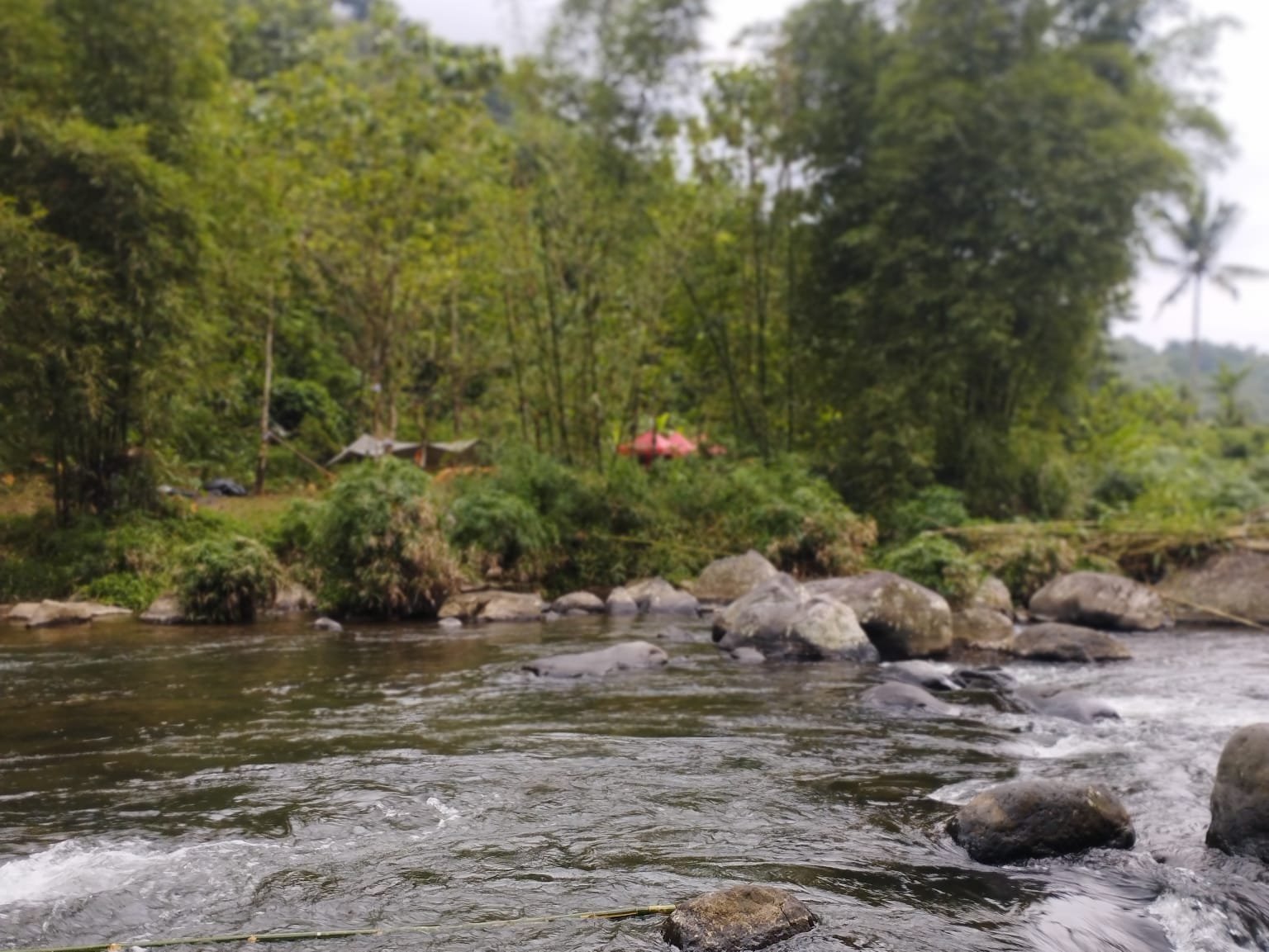 Hari Kesebelas KKN — Penelusuran dan Pendataan Kawasan Rawan Longsor