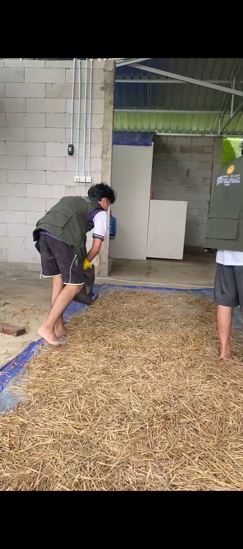 KKN HARI KE 11 Pembuatan Pupuk pakan silase