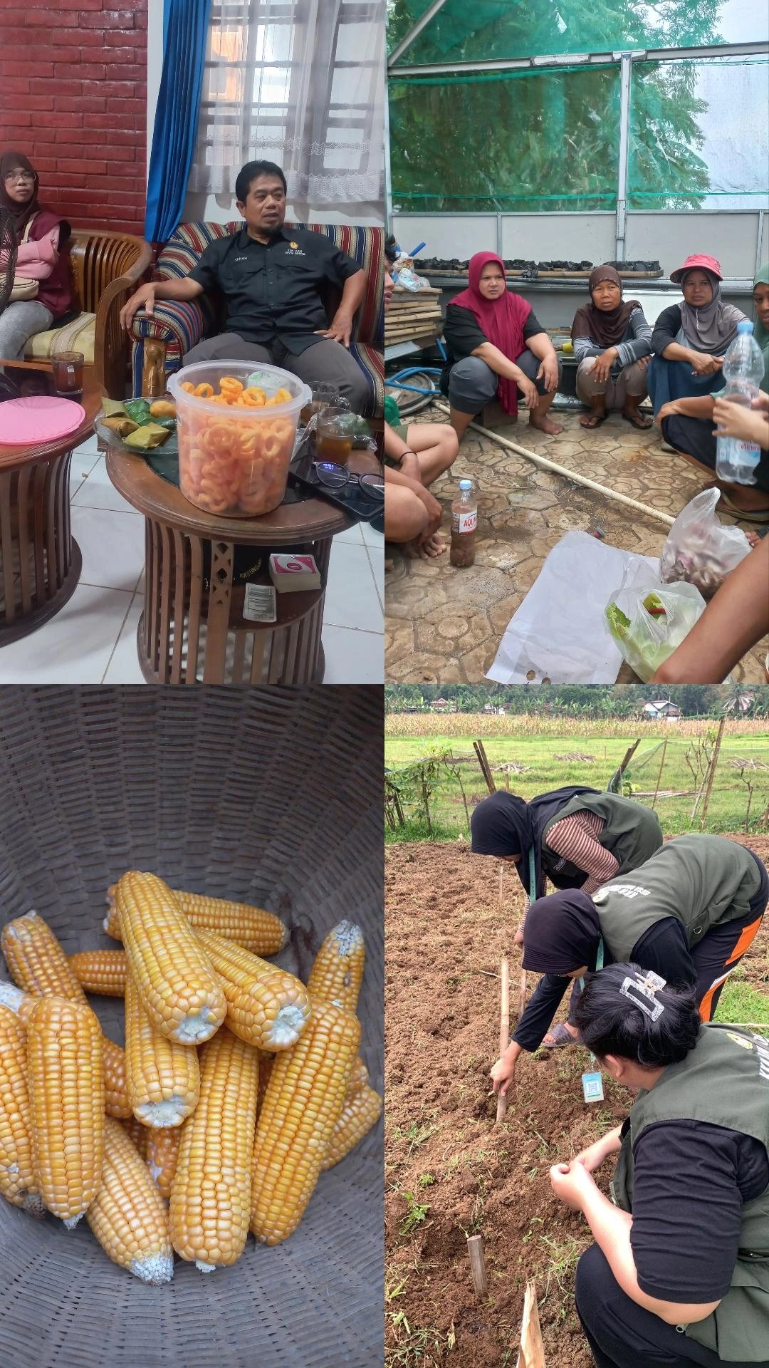 Kegiatan KKN Desa Sokawera 2026 hari ke-11