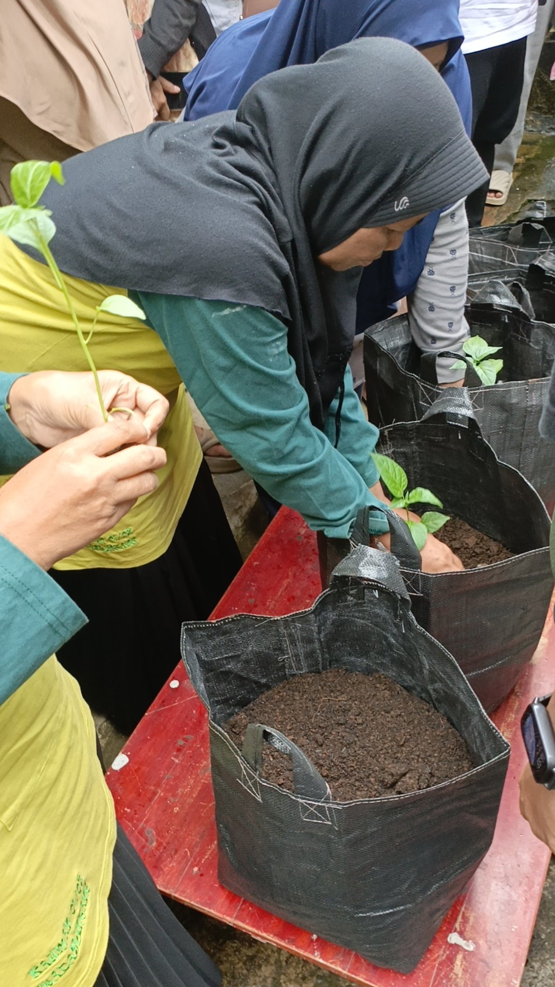 Rabu, 14 Januari 2026 - Sosialisasi dan Pelaksanaan Intensifikasi Pekarangan