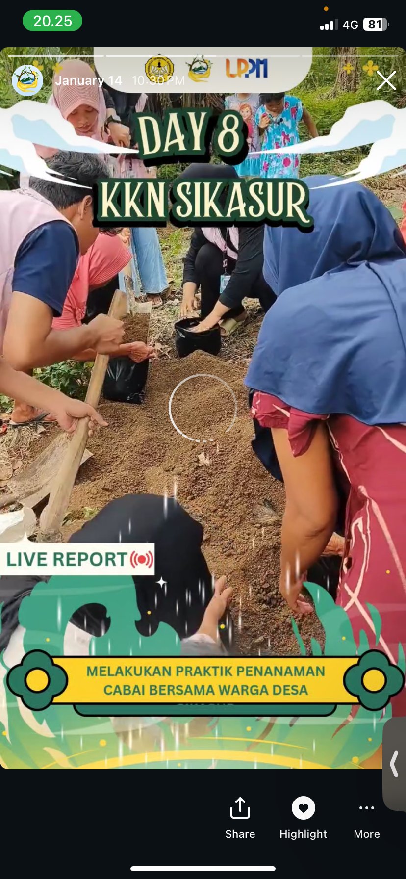 DAY 8 KKN DESA SIKASUR PRAKTIK PENANAMAN CABAI