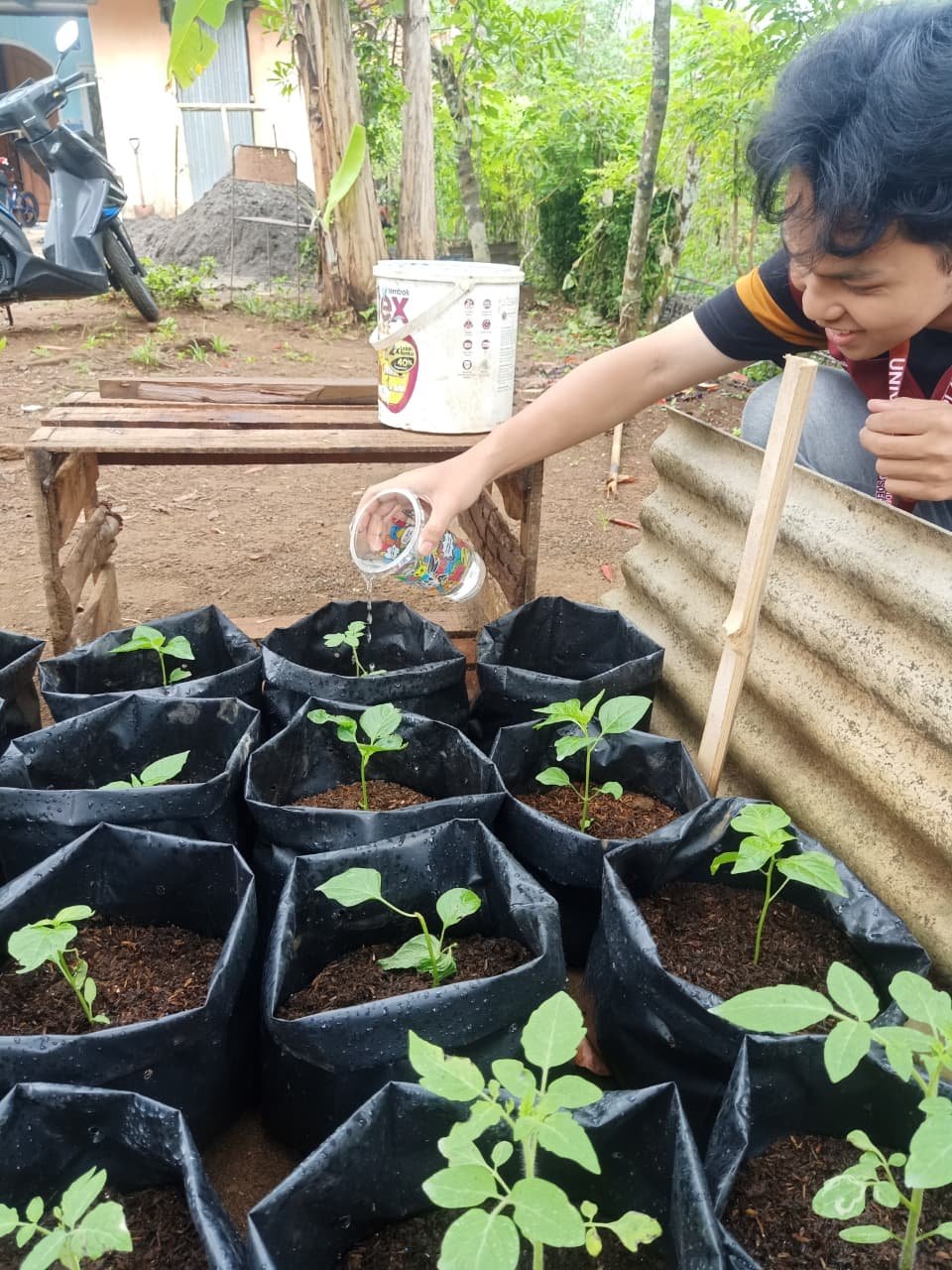 CONTROLLING INTENSIFIKASI PEKARANGAN