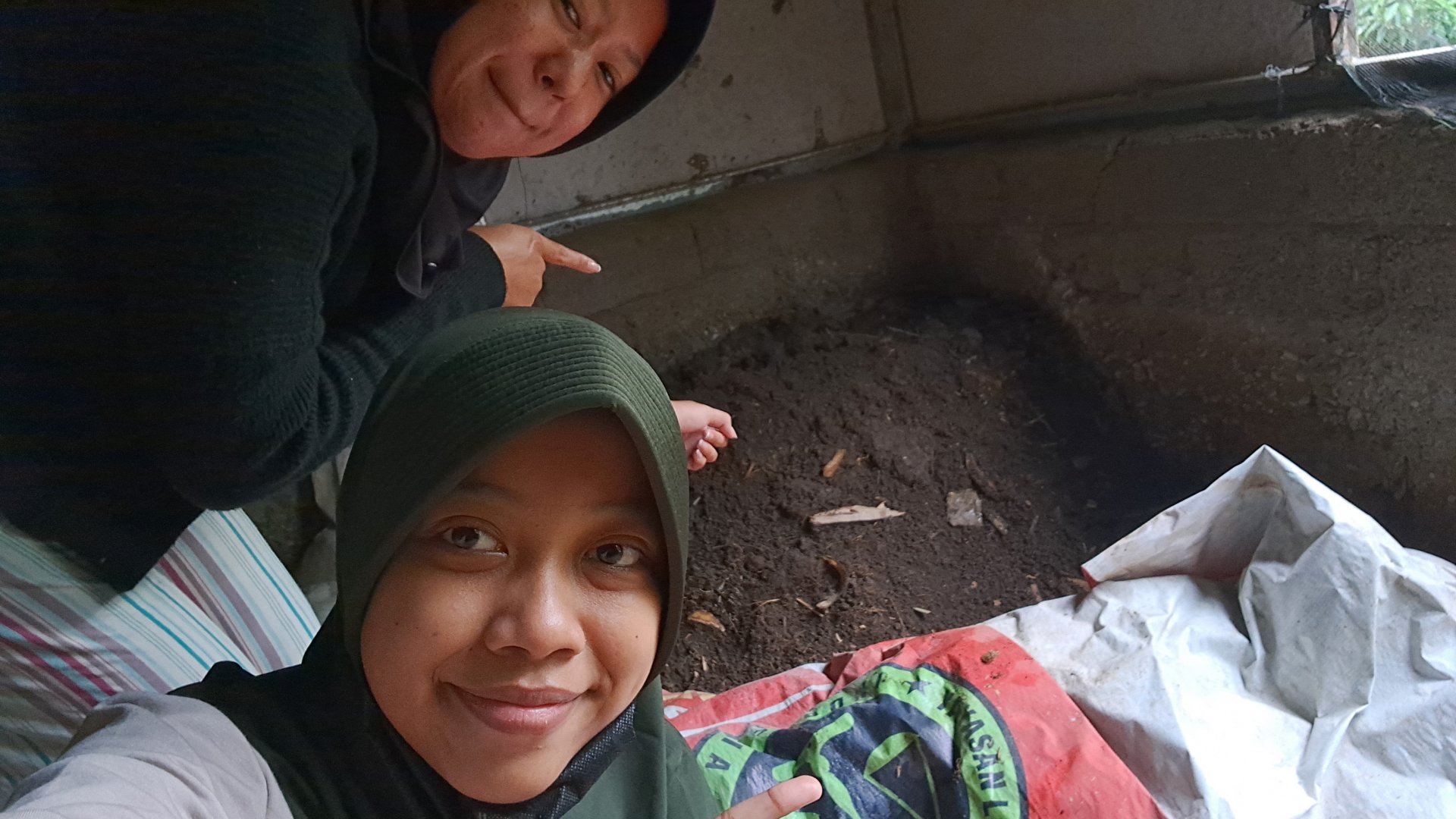 Monitoring Pupuk Kotoran Hewan