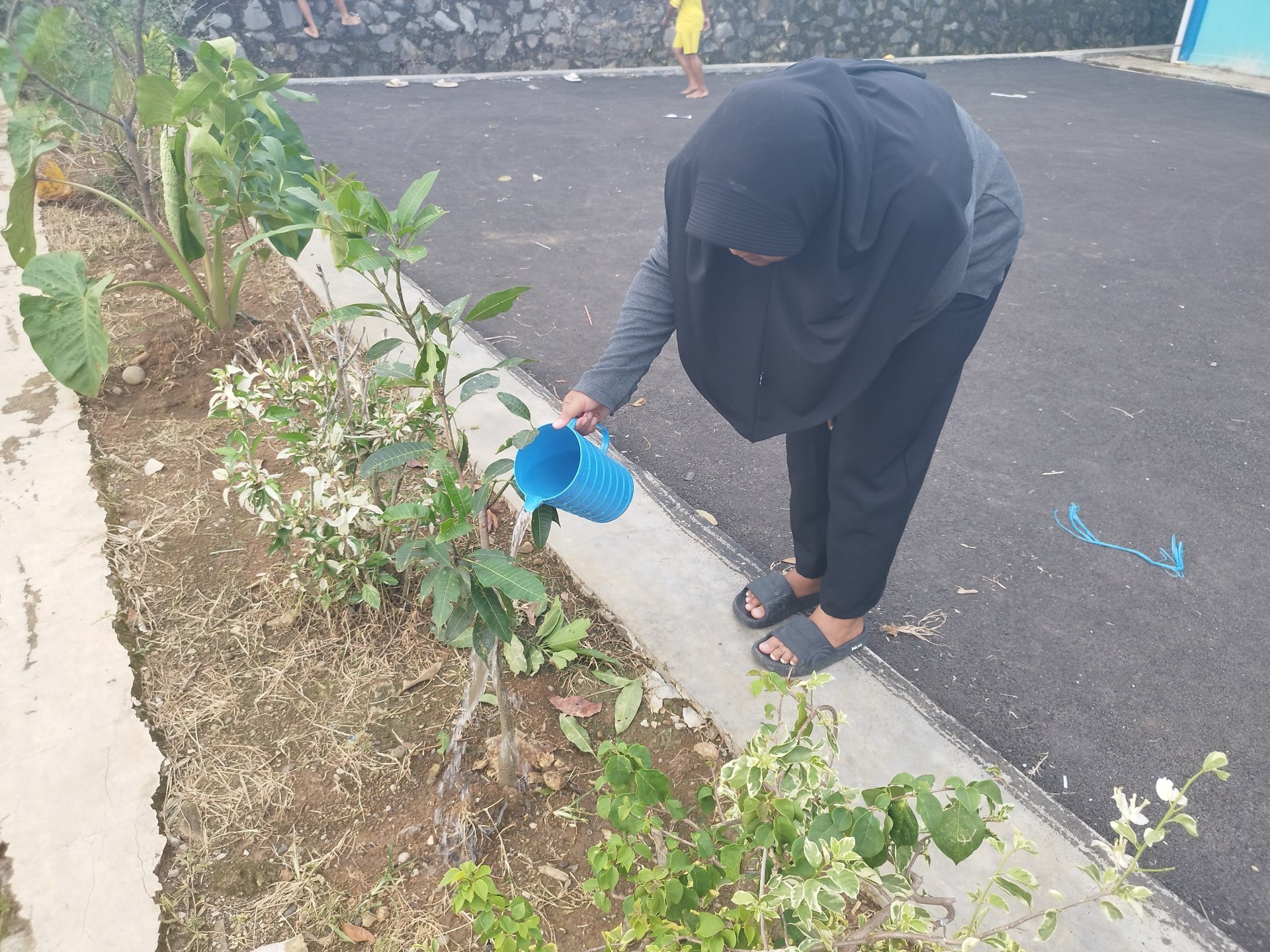 Program Kerja Bidang Lingkungan Monitoring Tanaman MPTS