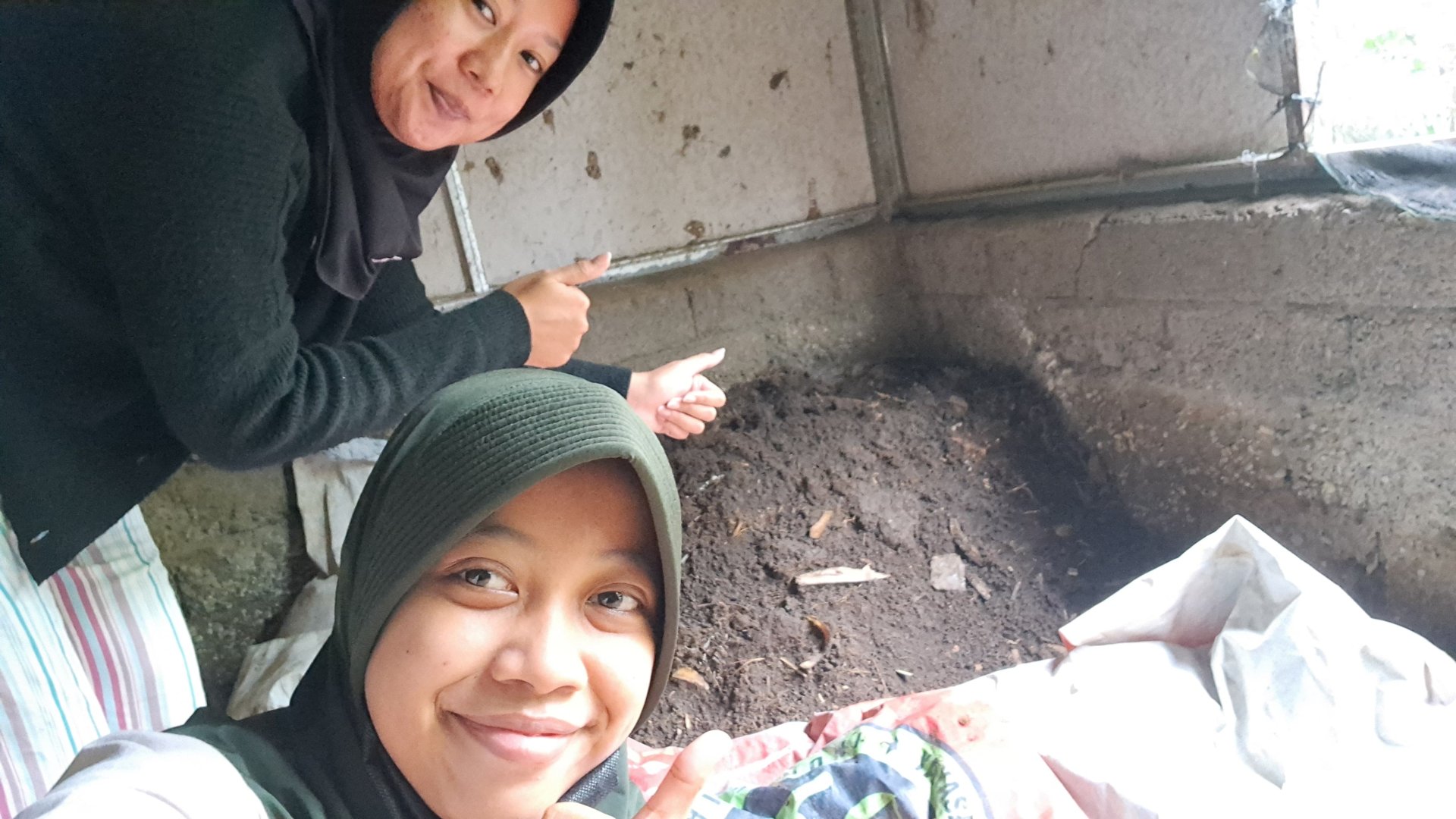 Pengecekan Pupuk Kompos Kotoran Hewan