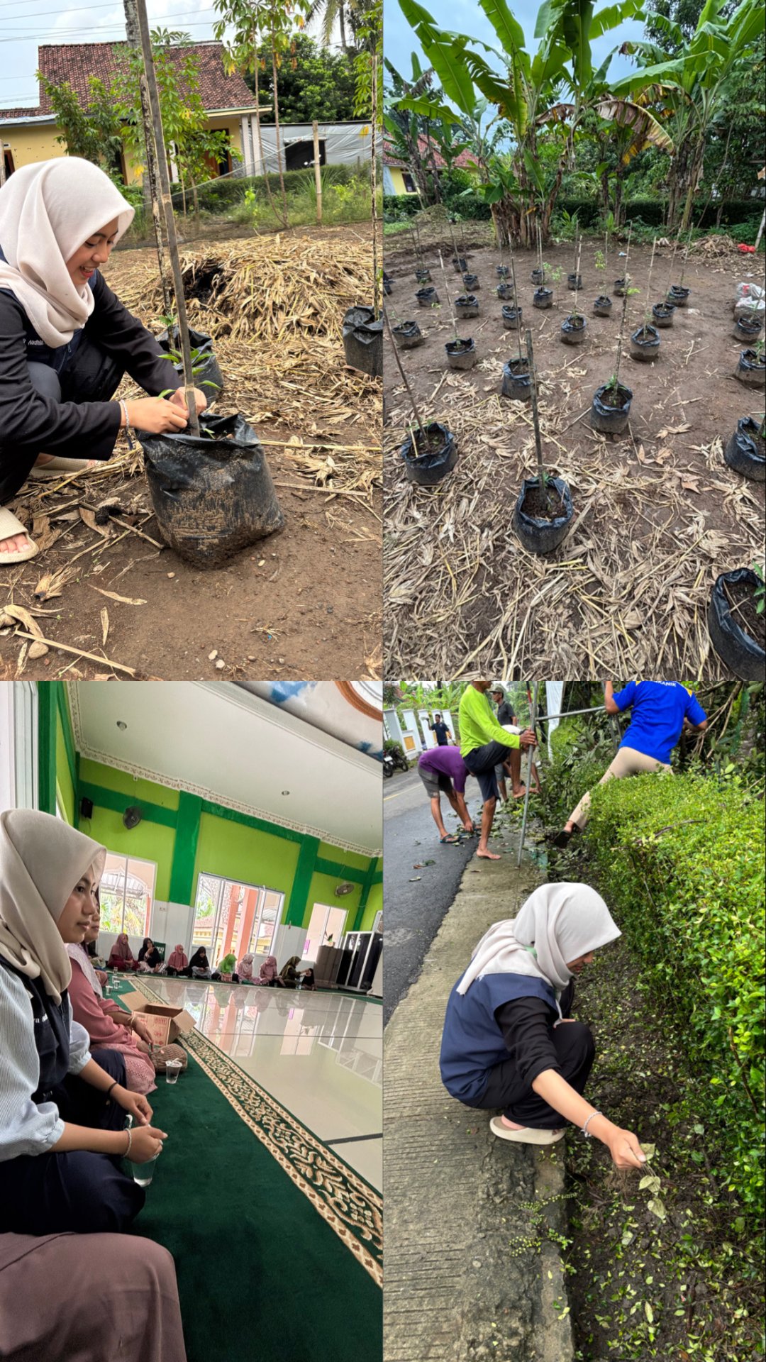 Kerja bakti, pengajian, dan pemupukan tanaman cabai