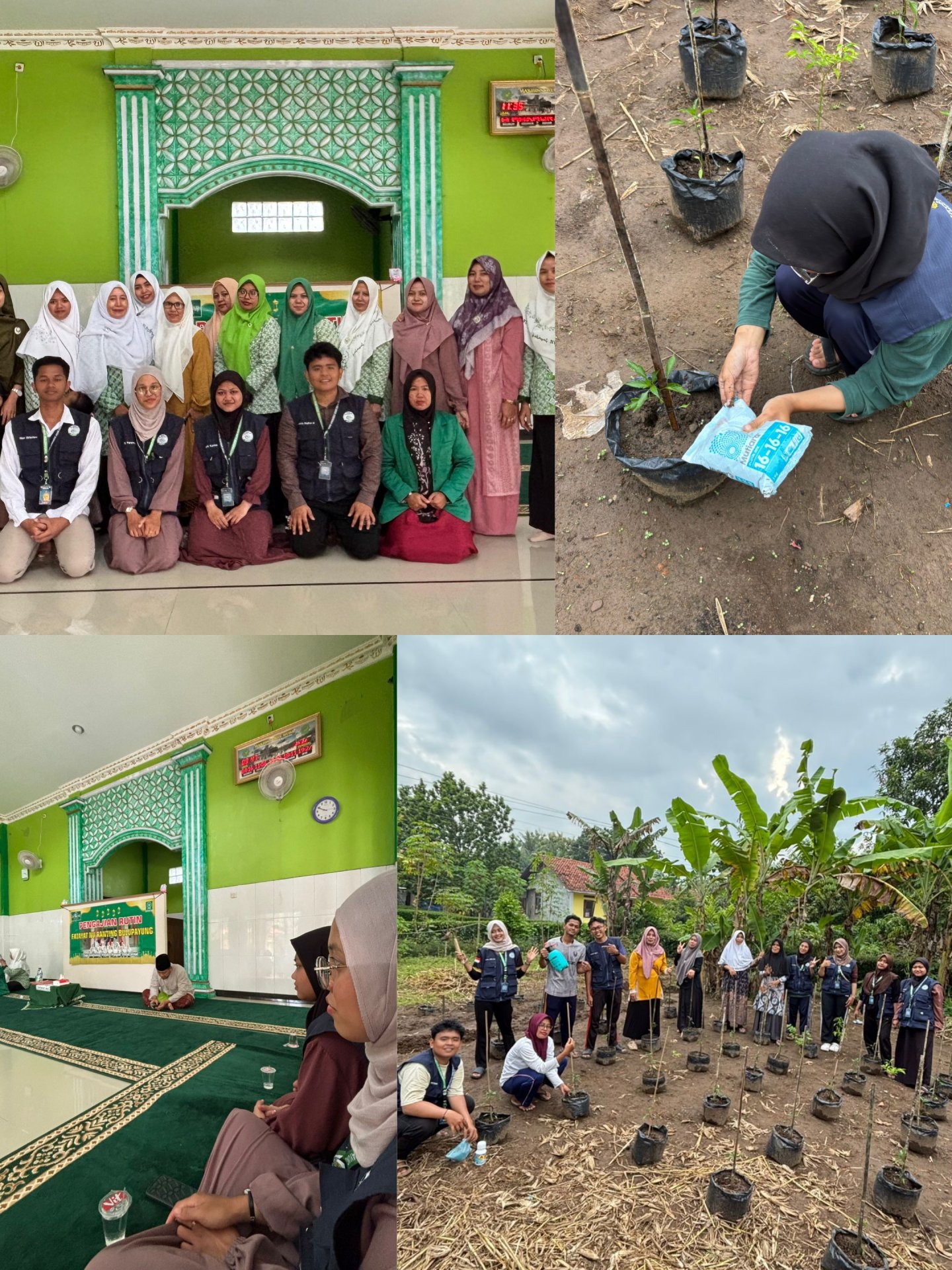 Gotong Royong, Pengajian, dan Monitoring serta Perawatan Demplot