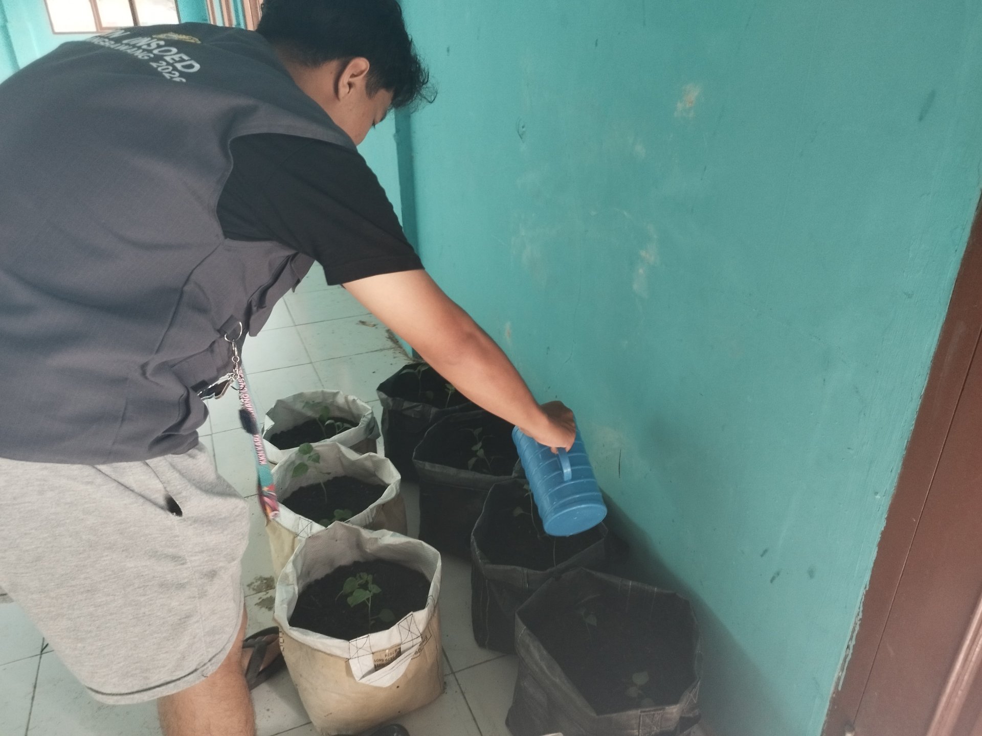 MONITORING DAN PENGECEKAN RUTIN TANAMAN CABAI DI PLANTER BAG DI GOR DESA KARANGBAWANG