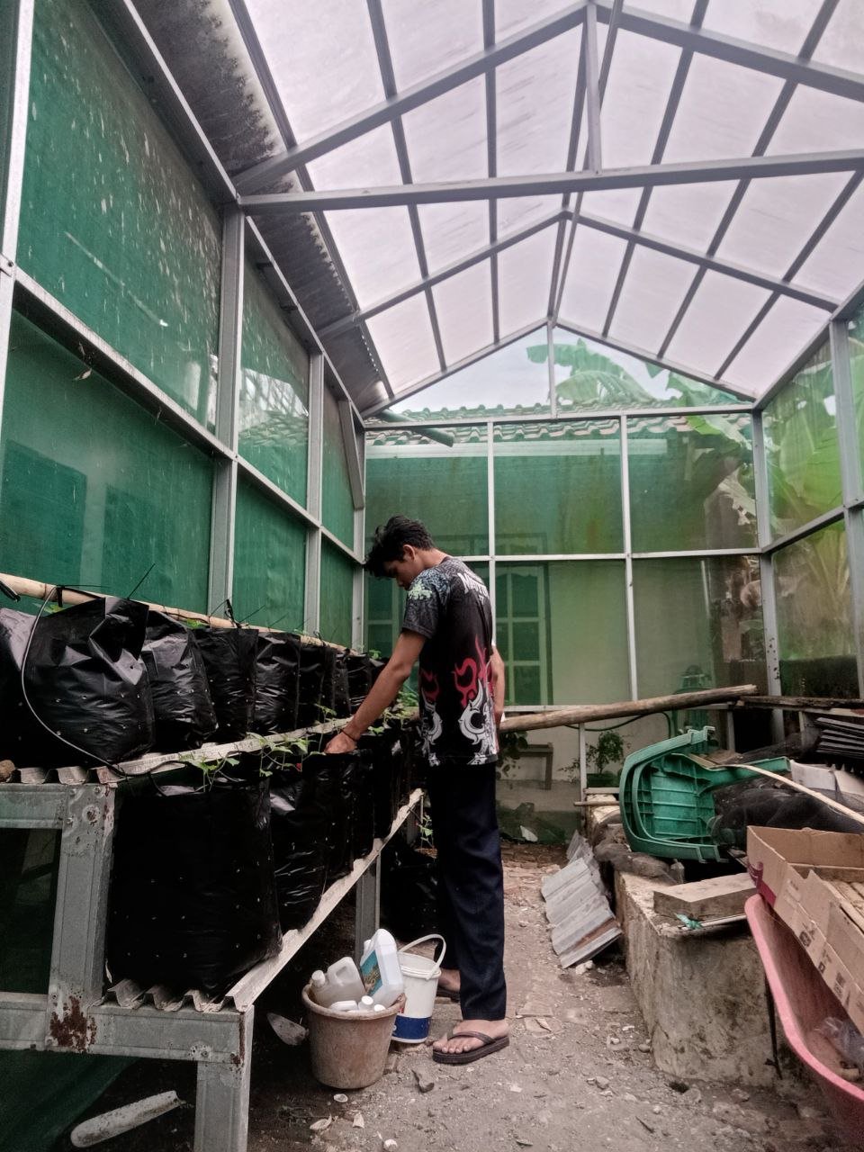 Kegiatan Hari Keduabelas | Demplot Pertanian