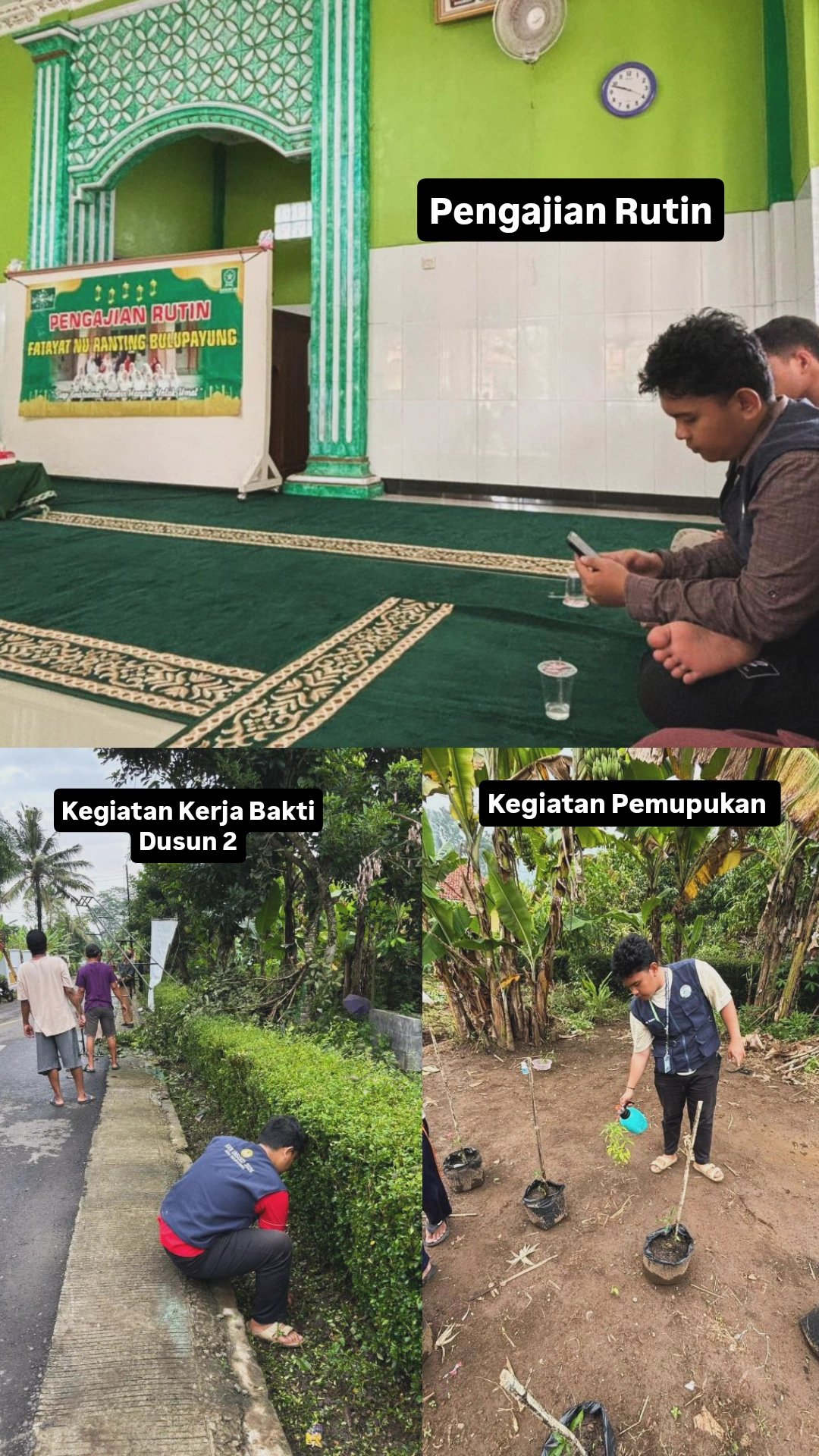 Hari ke-12: Kerja Bakti, Pengajian, dan Aplikasi growth up dan pupuk NPK