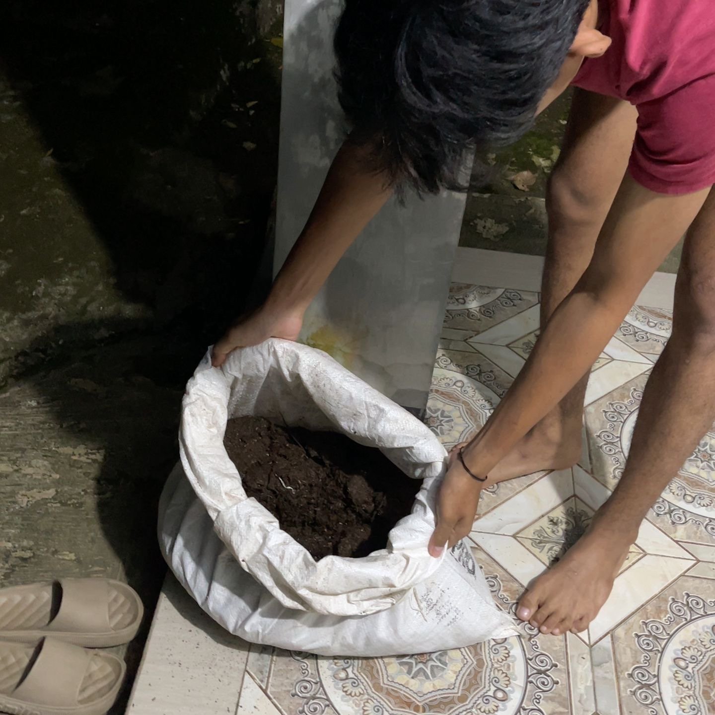 mencari tanah untuk bahan tanam intensifikasi pekarangan