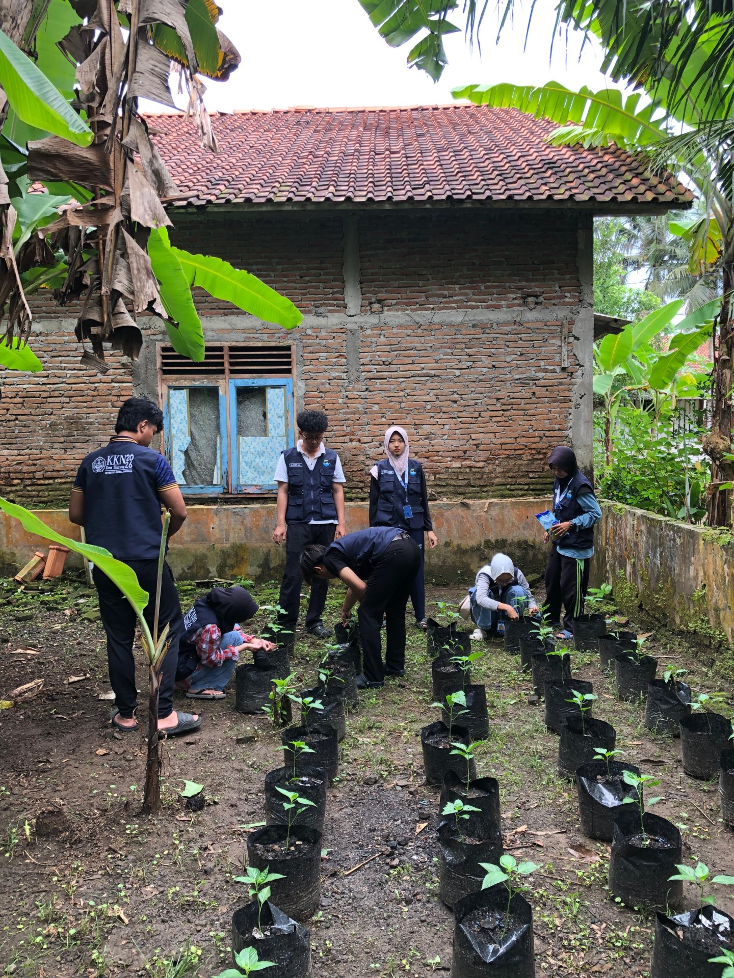 Kegiatan KKN hari ke12