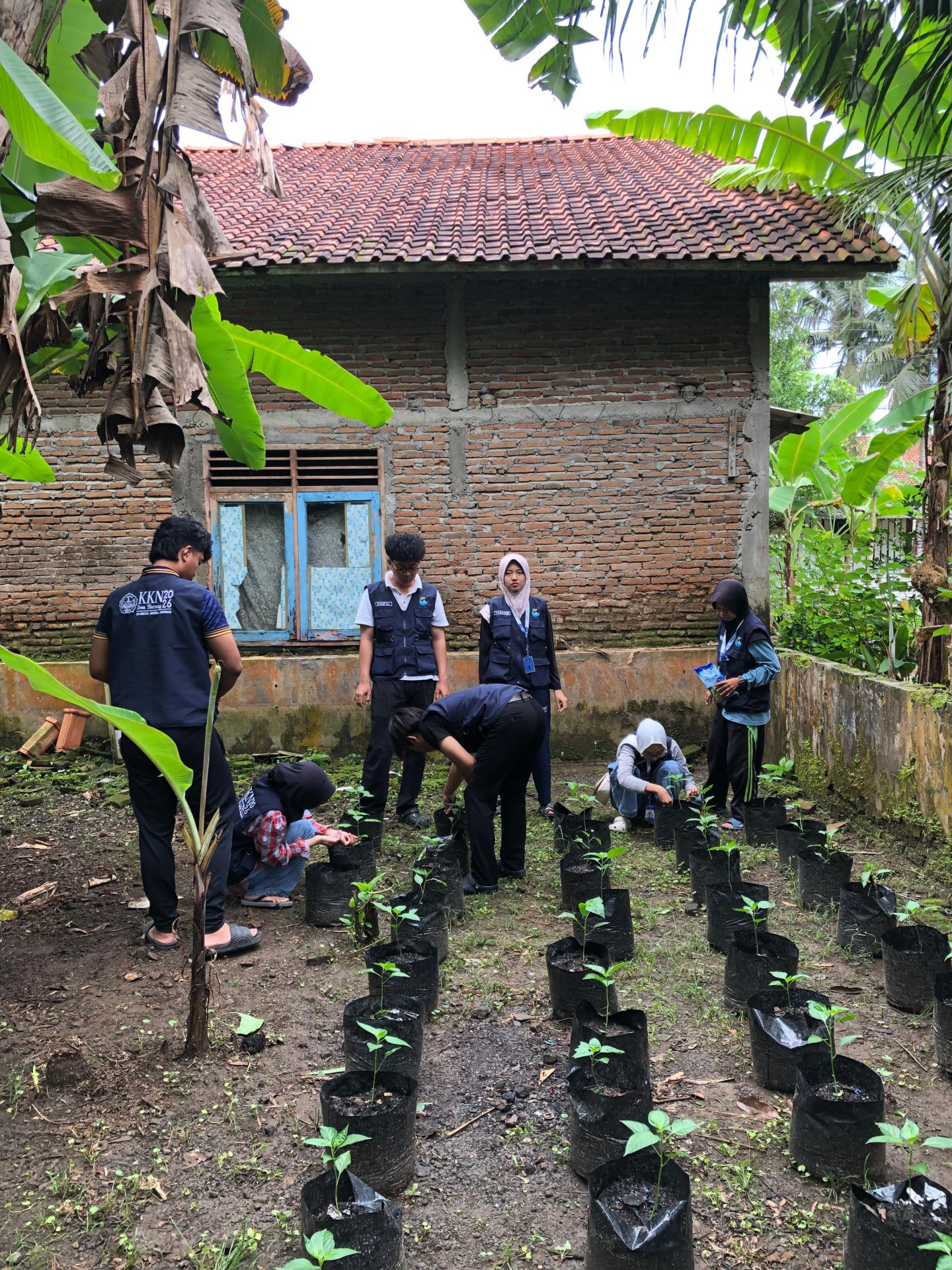 Day 12 KKN Unsoed 2026