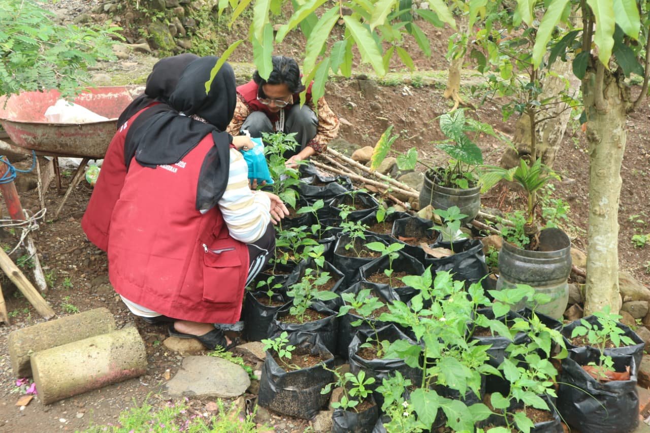 Pelaksanaan KKN Hari ke-12