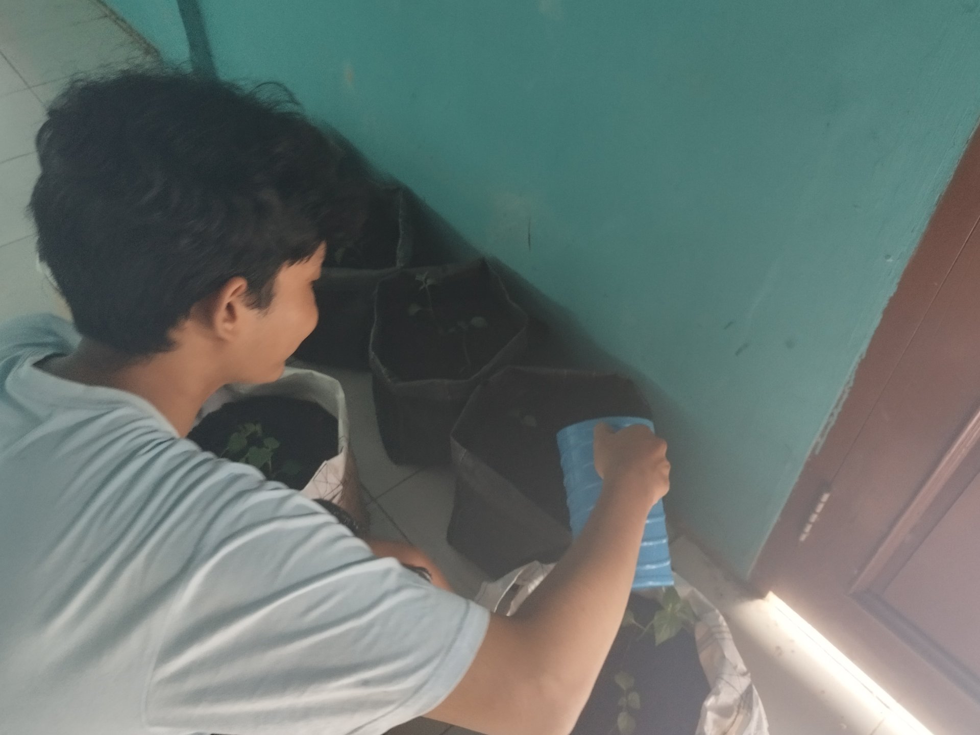 Kegiatan Program Kerja Bidang Lingkungan Monitoring Tanaman cabai