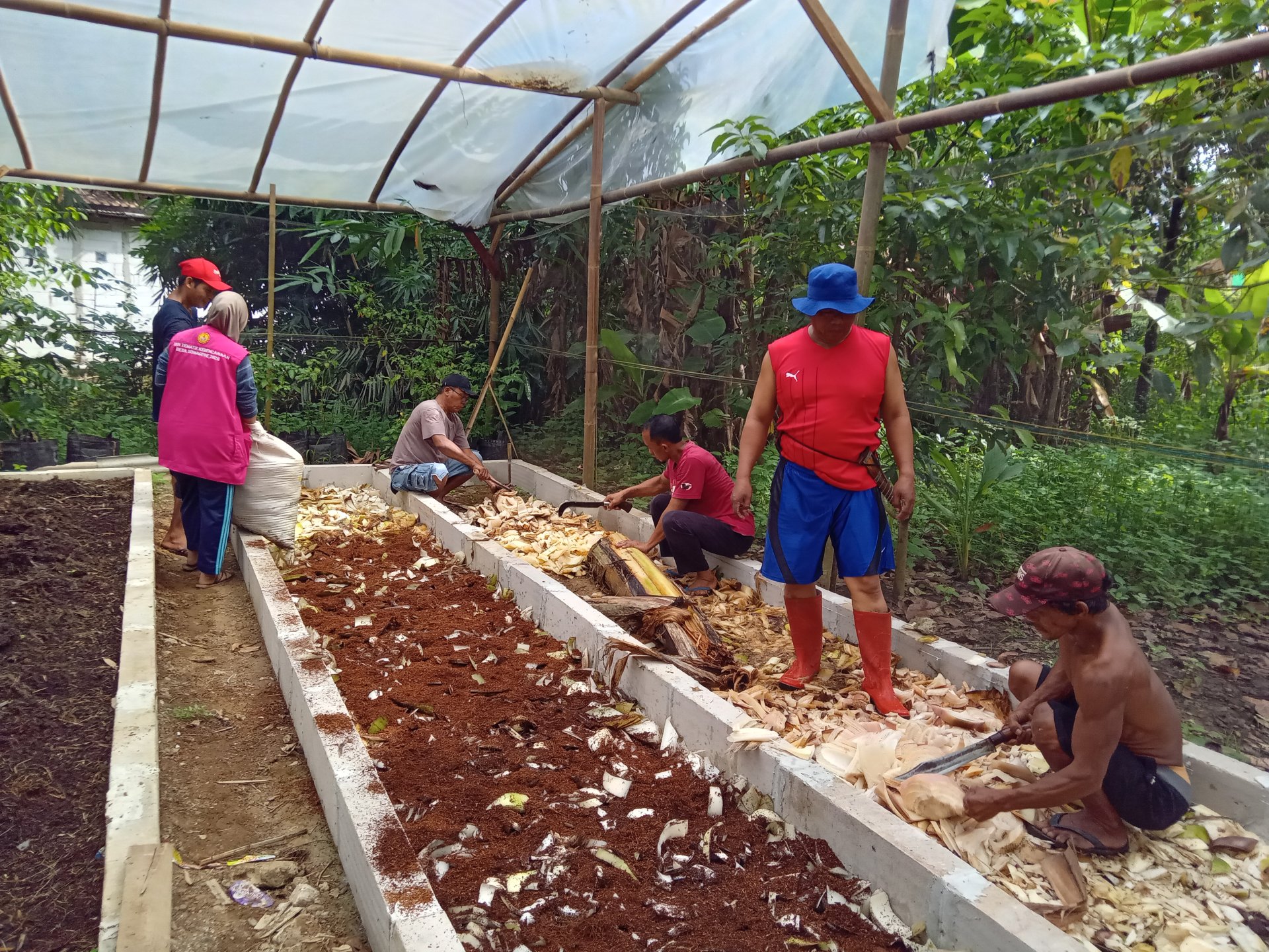 Day 12 - Pemberian Media Baru Budidaya Cacing Pupuk Organik