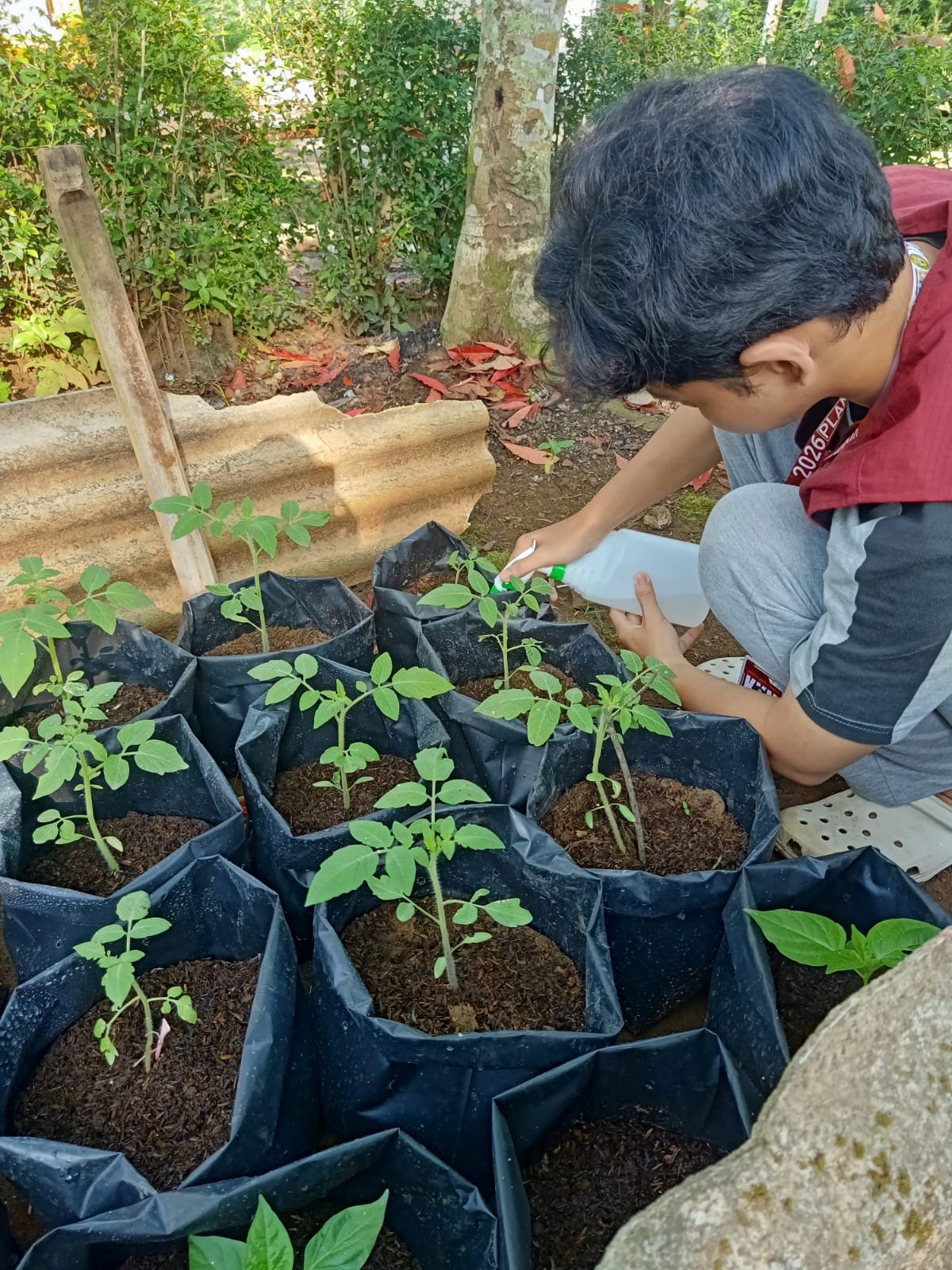 CONTROLLING INTENSIFIKASI PEKARANGAN