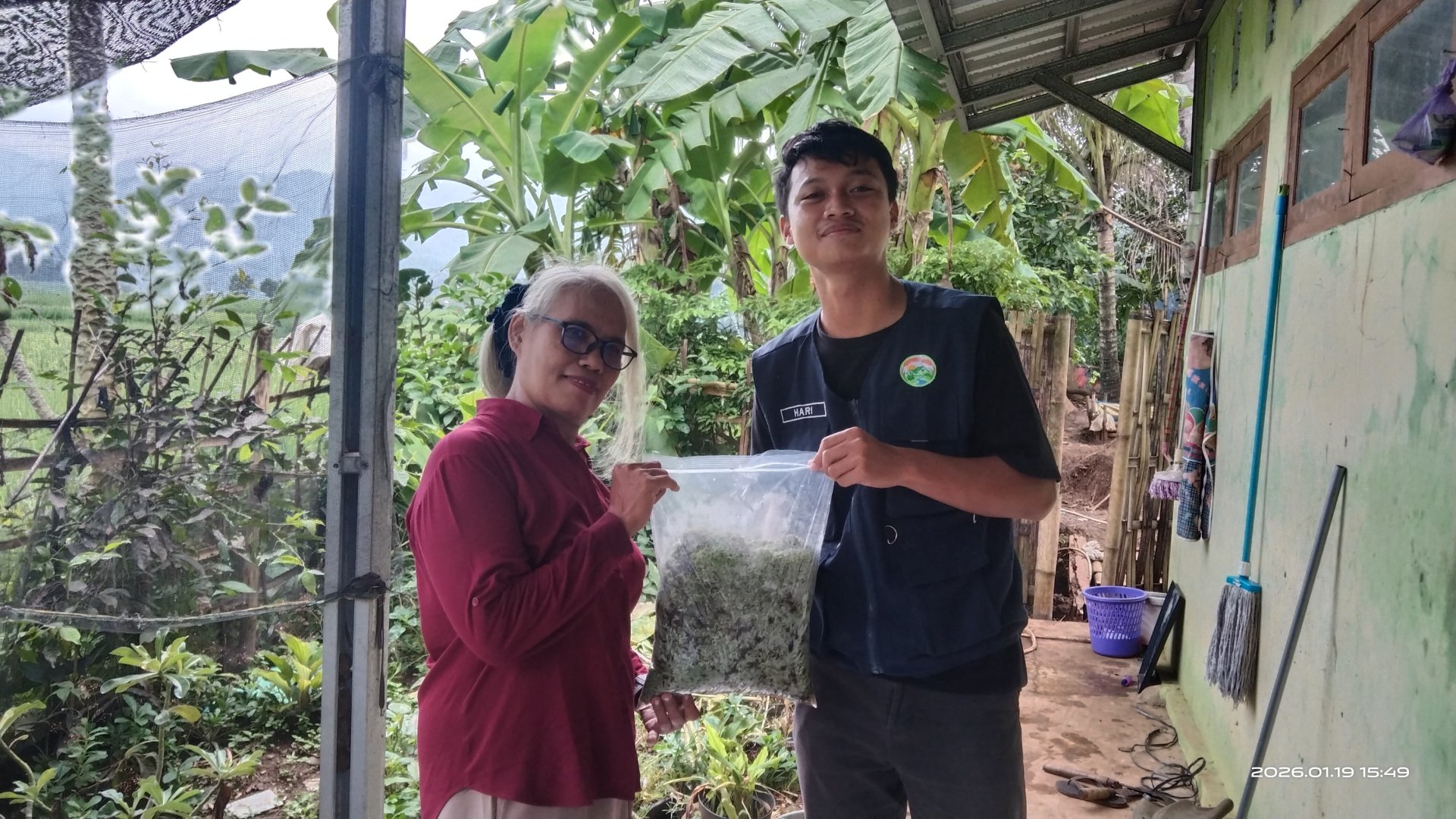 Pemberian Bibit Azolla