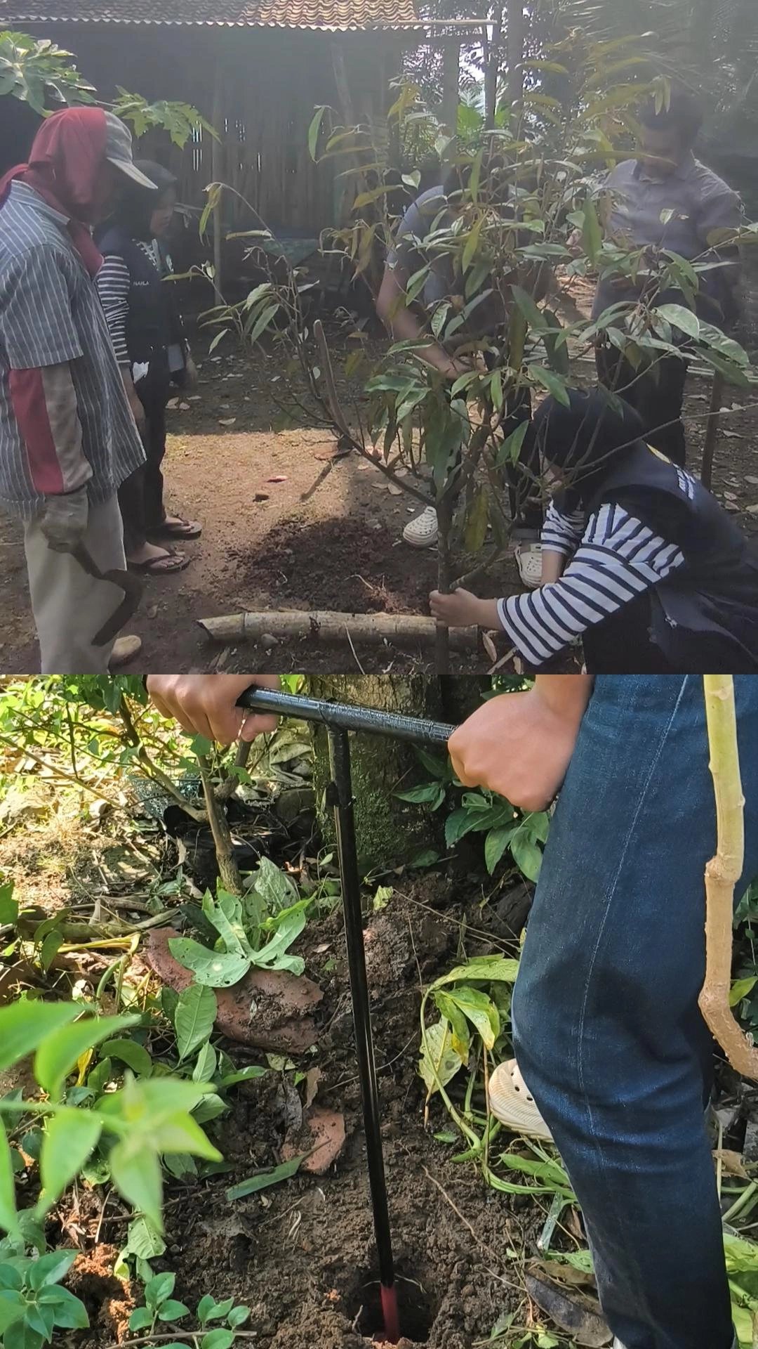 Hari ketigabelas KKN