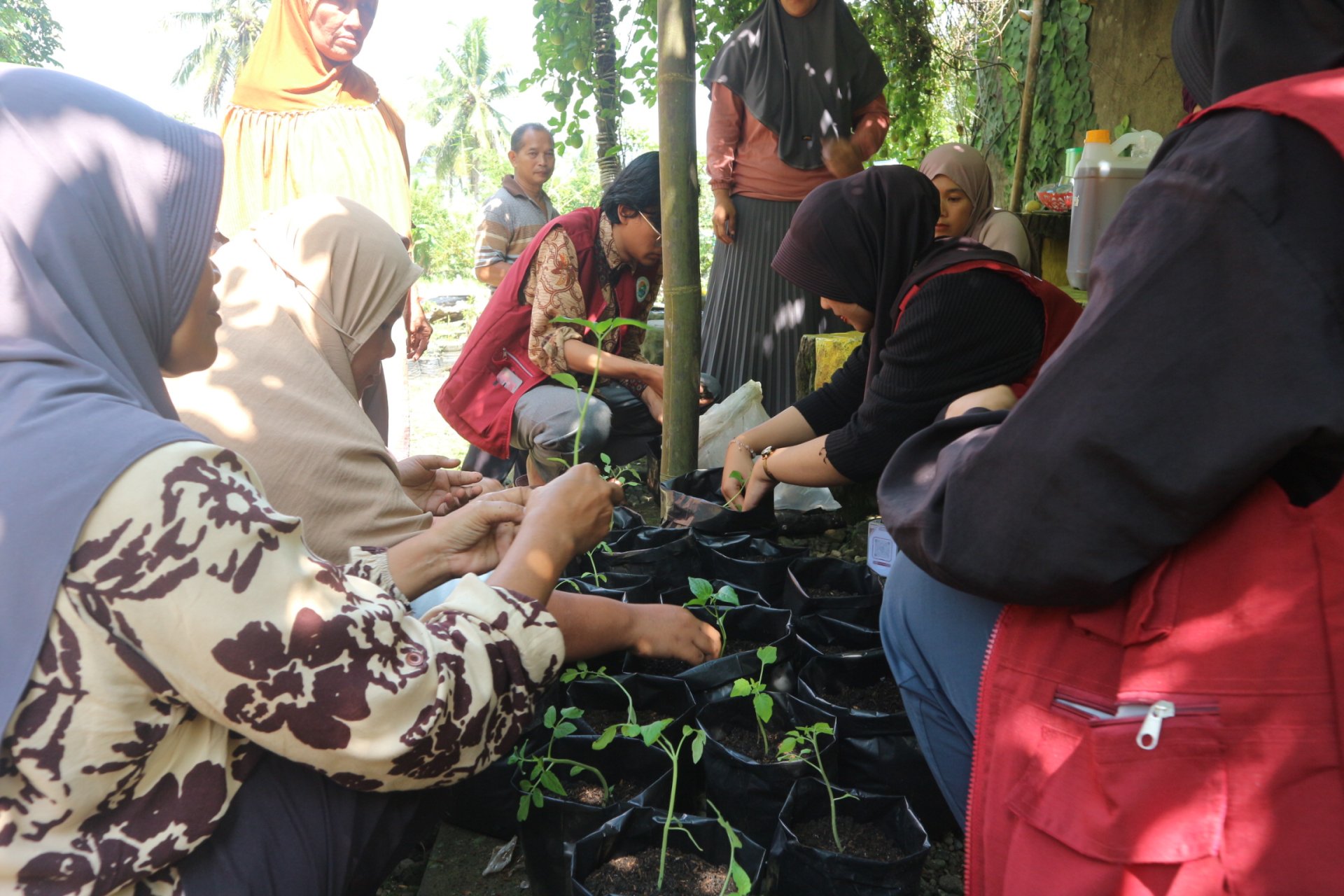 Hari Ketigabelas KKN