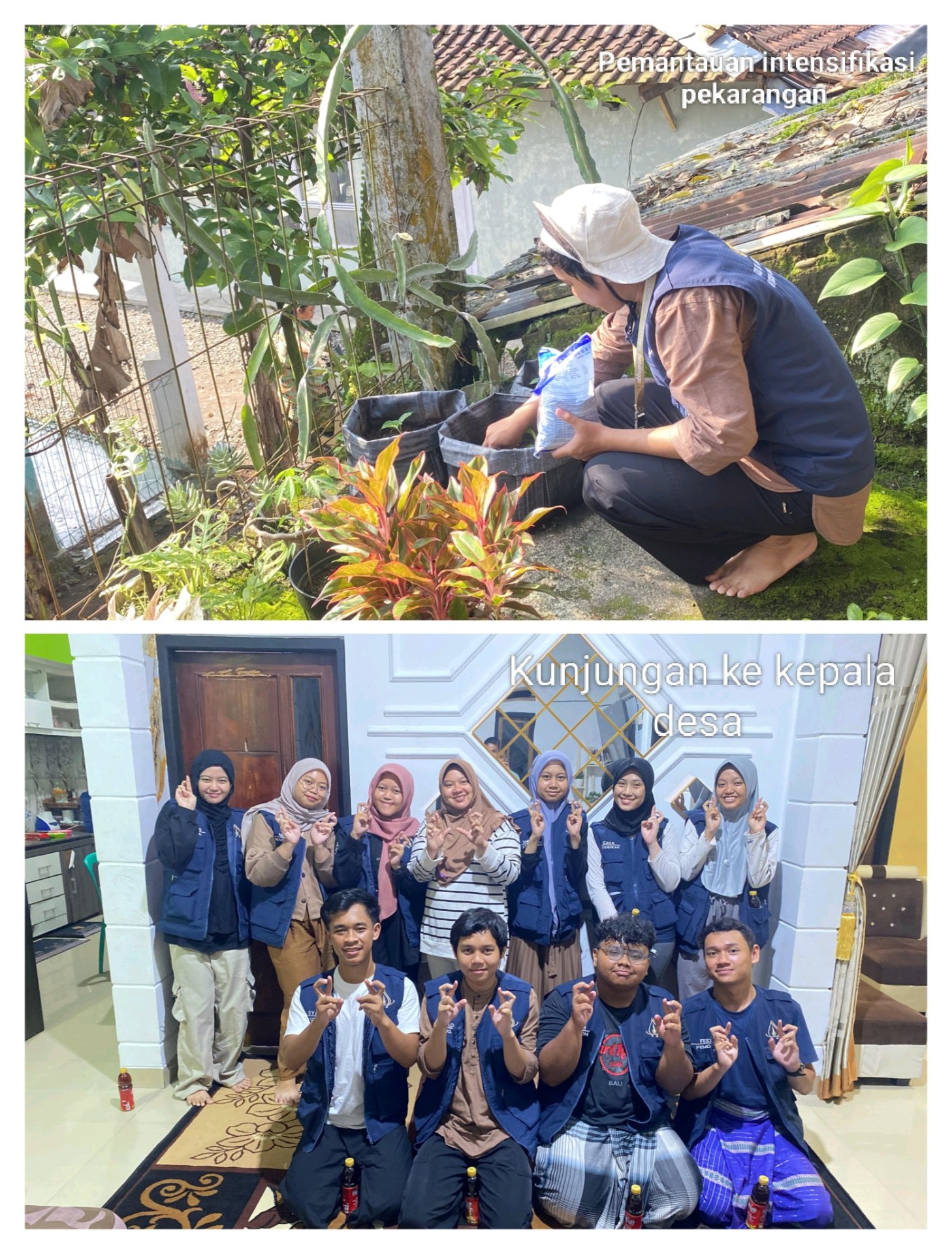 Monitoring Intensifikasi Pekarangan, Persiapan Sosialisasi Isi Piringku, dan Kunjungan ke Rumah Kades