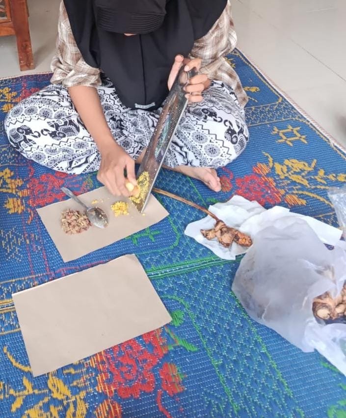 Persiapan Pembuatan Biopestisida