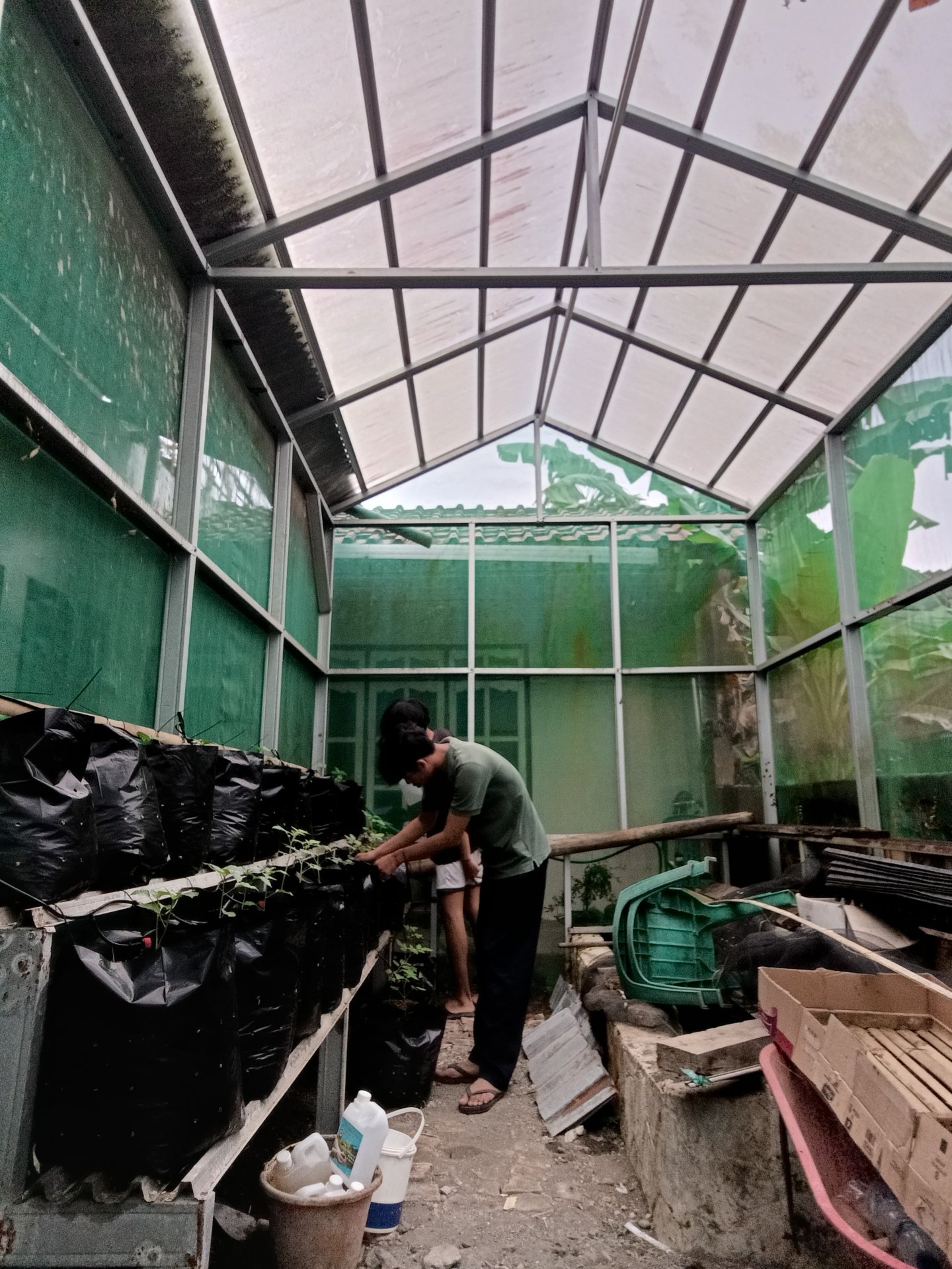 Kegiatan Hari Keempatbelas | Demplot pertanian