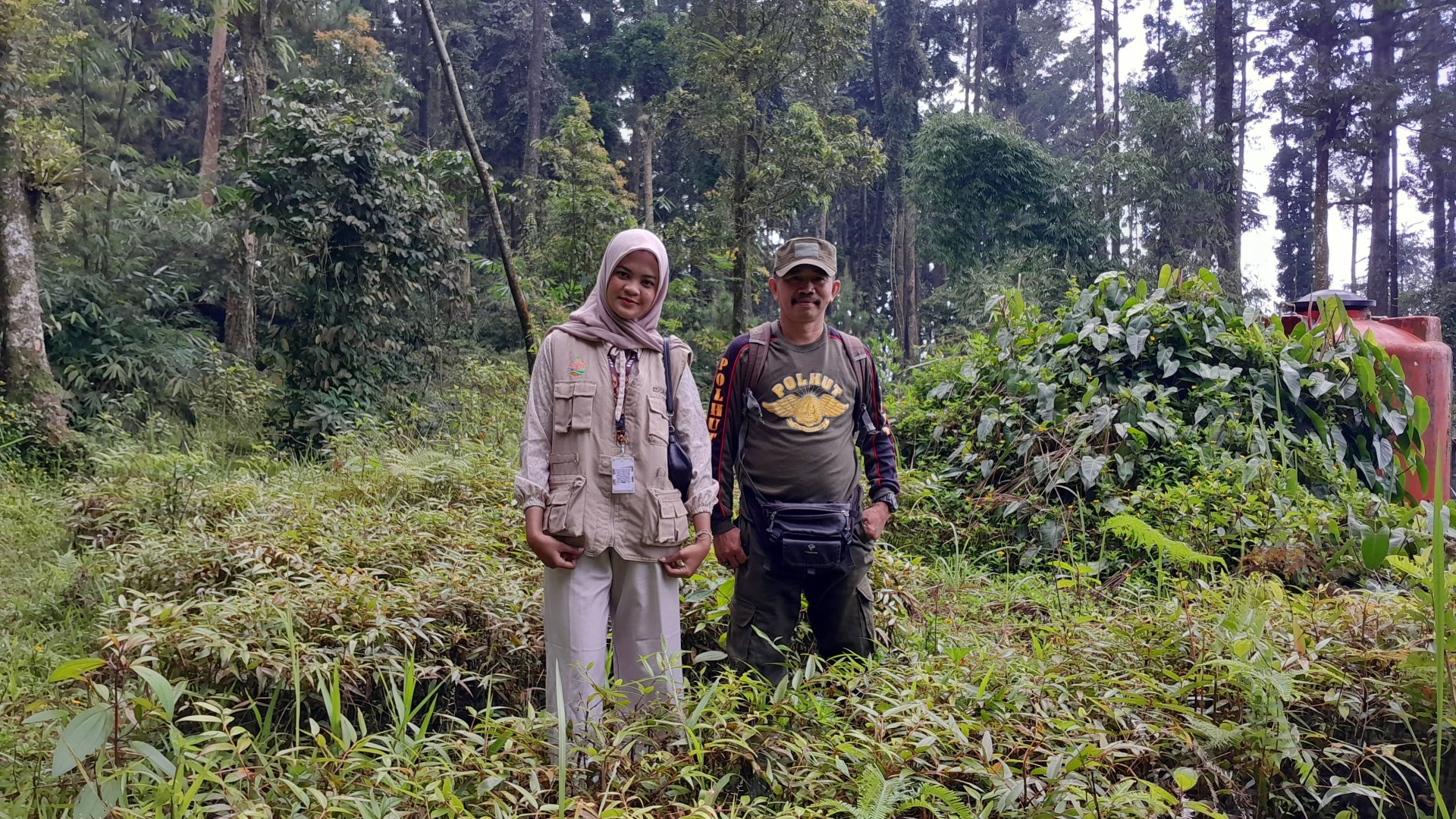 PENGAMBILAN BIBIT POHON DAMAR DARI PERHUTANI BATURRADEN