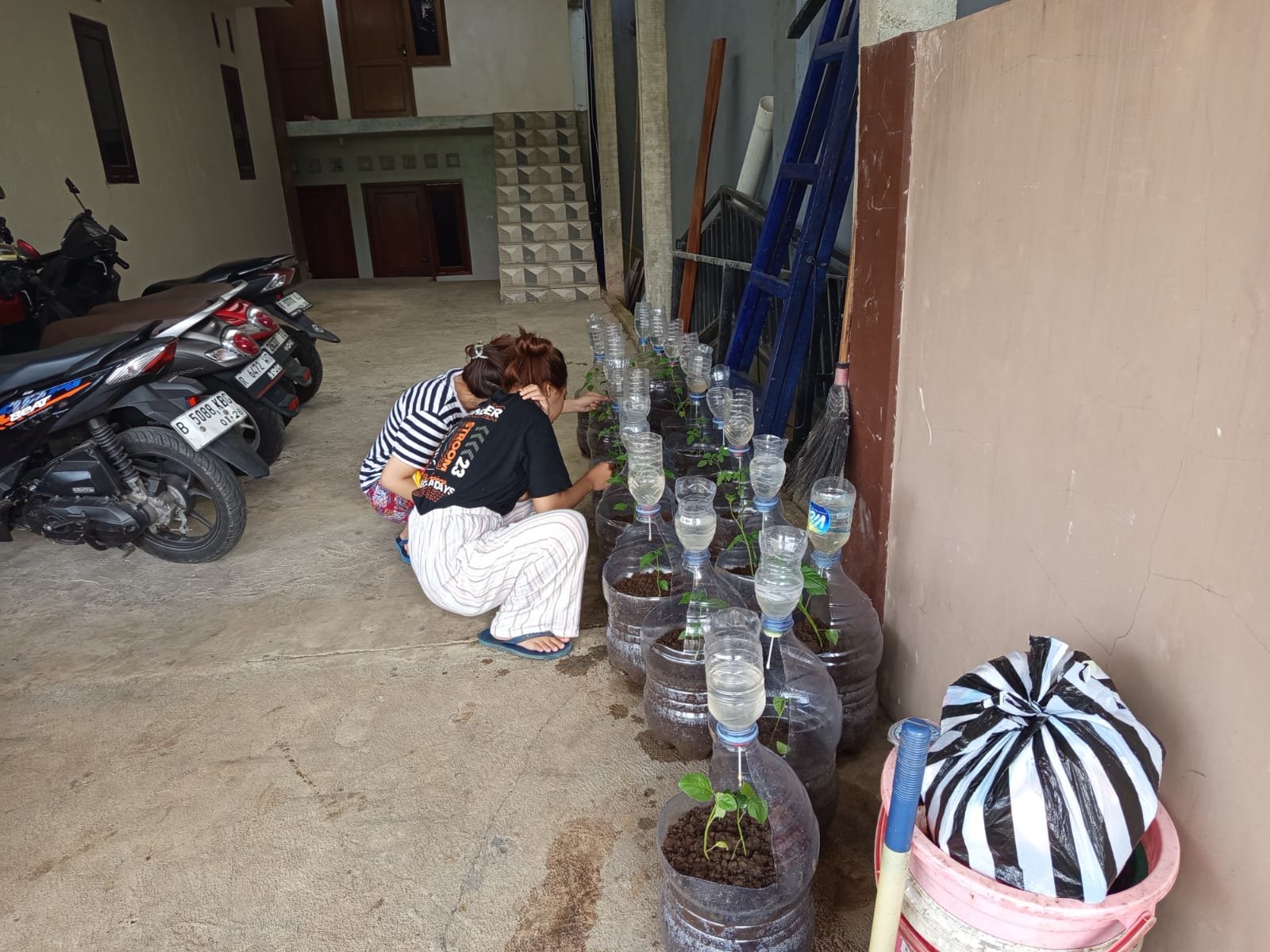 Piket Monitoring Tanaman Irigasi Tetes