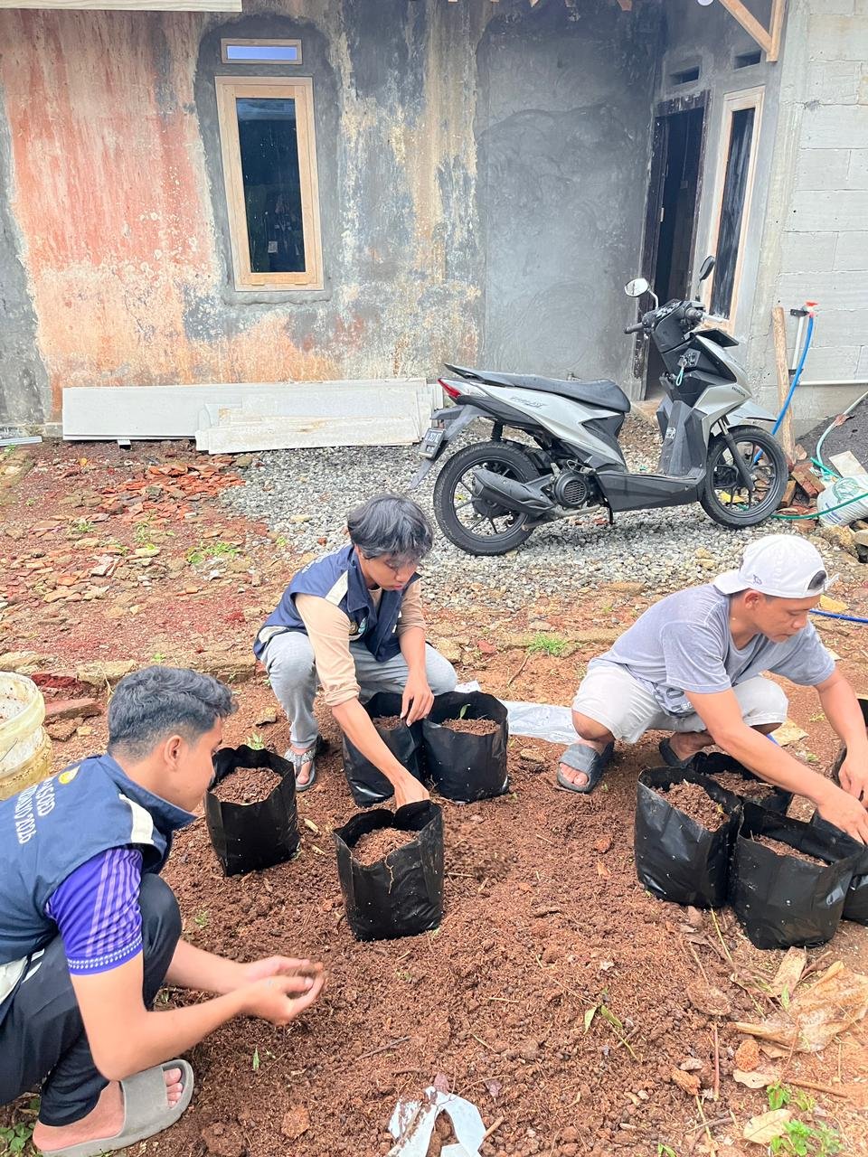 Senam, Survei bidang pendidikan dan pembuatan taman pertanian