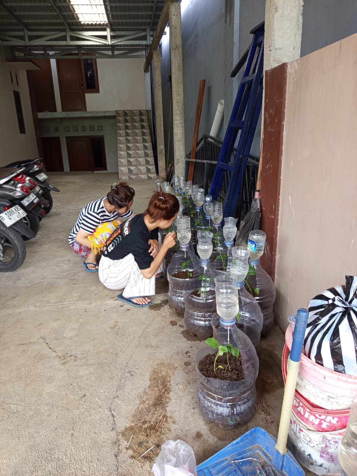 Piket Monitoring Tanaman Irigasi Tetes