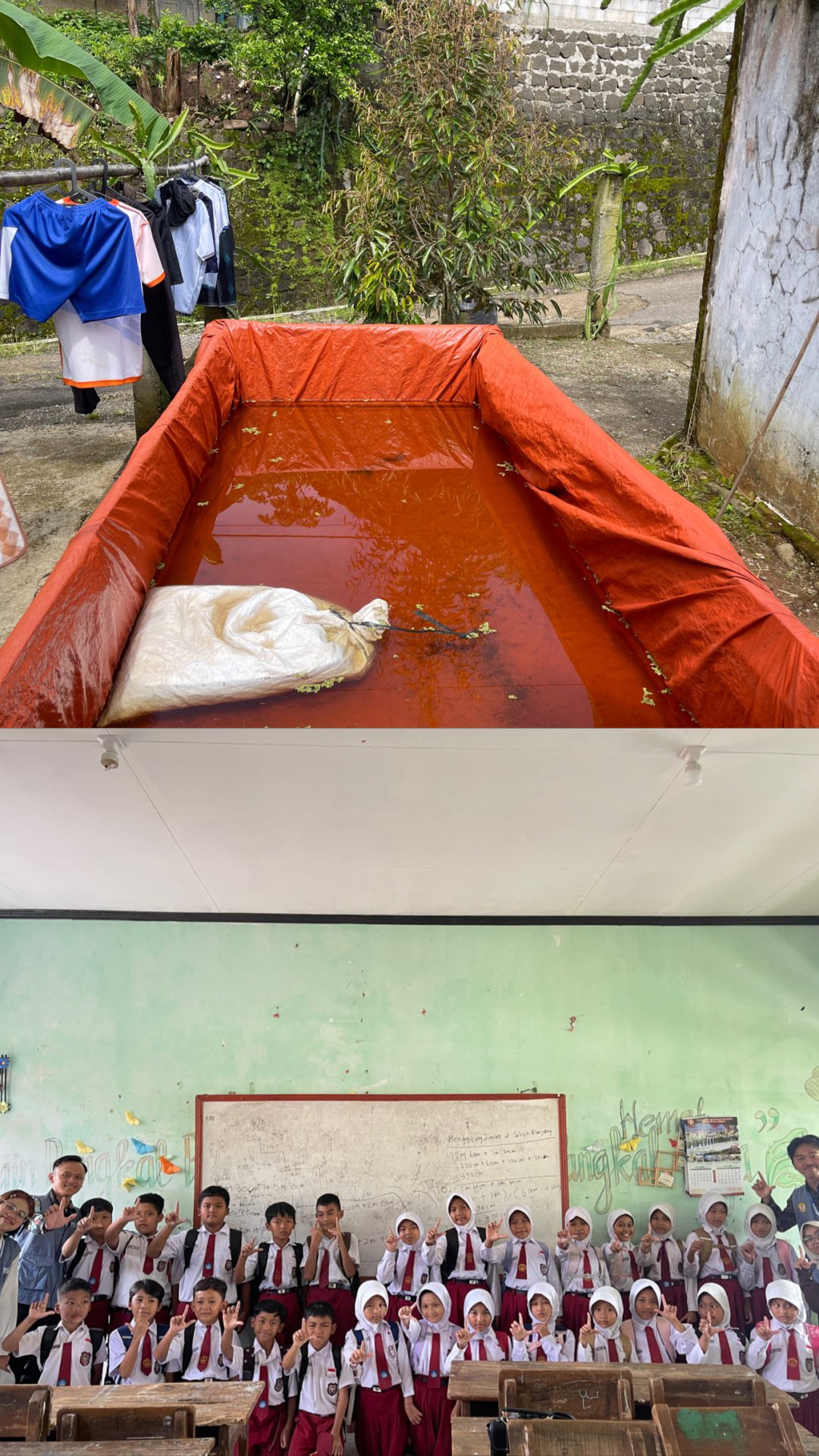 Day 14-Monitoring budidaya azolla, mengajar pelajaran di sd n 1 lancar.