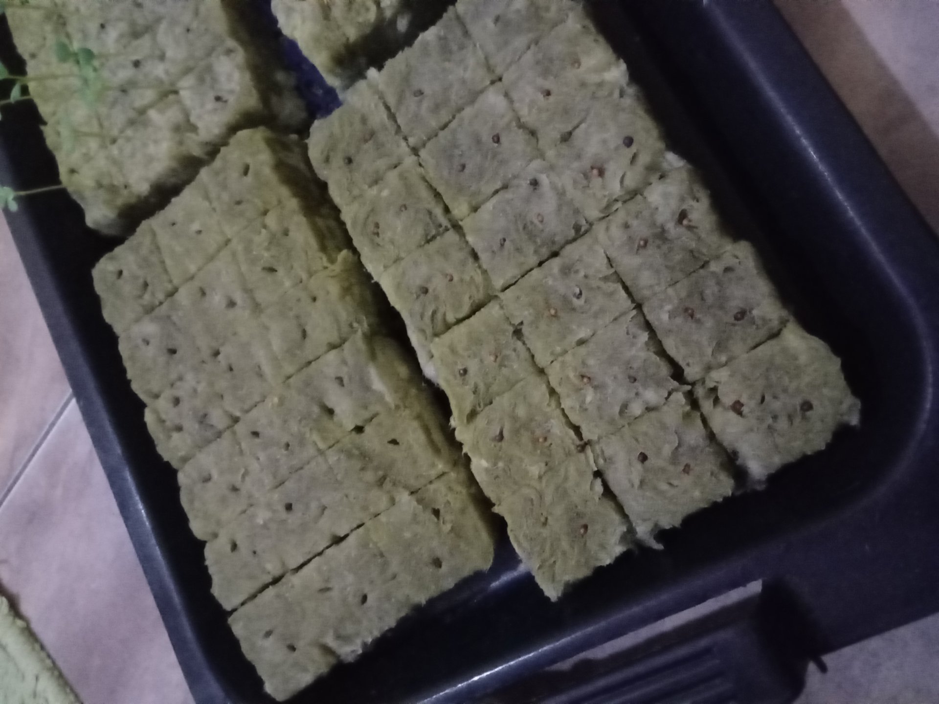 Melakukan Persiapan Program Kerja Hidroponik