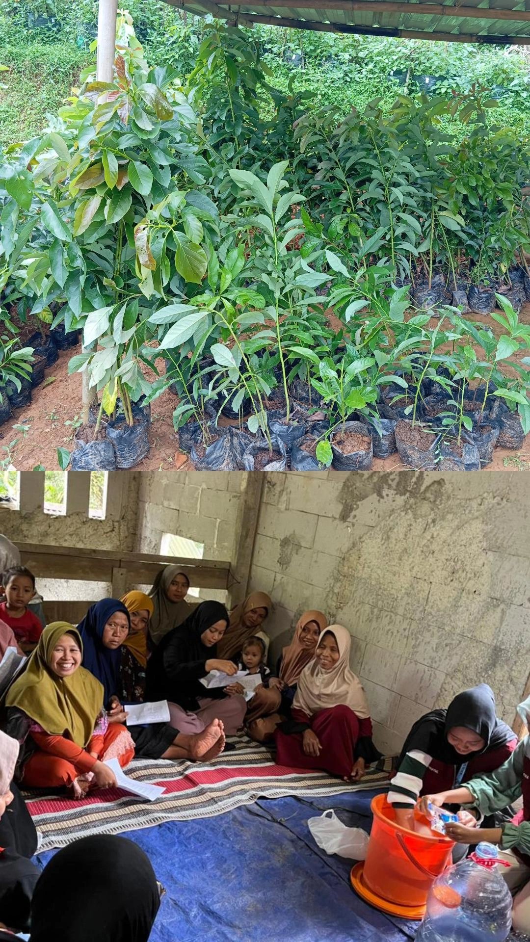 Persiapan Bibit Tanaman dan Edukasi Literasi Keuangan serta Pelatihan Sabun Alami