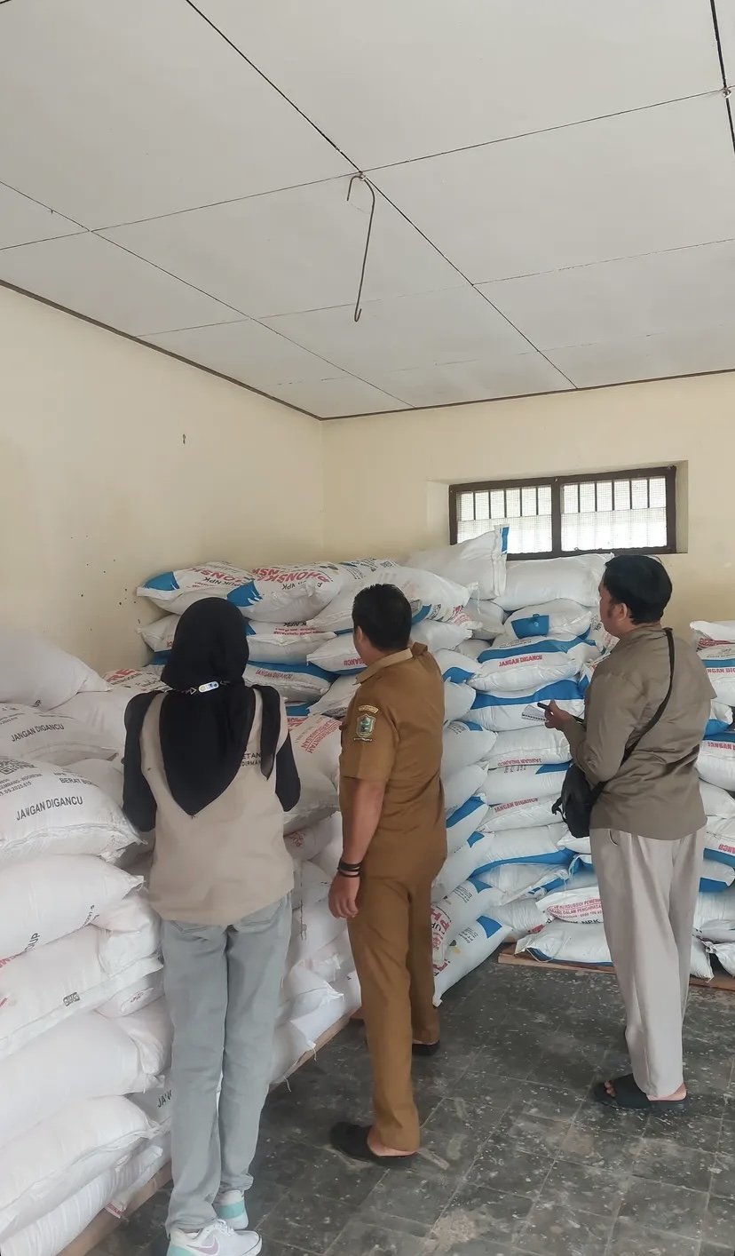 mengecek stok pupuk di gudang koperasi desa