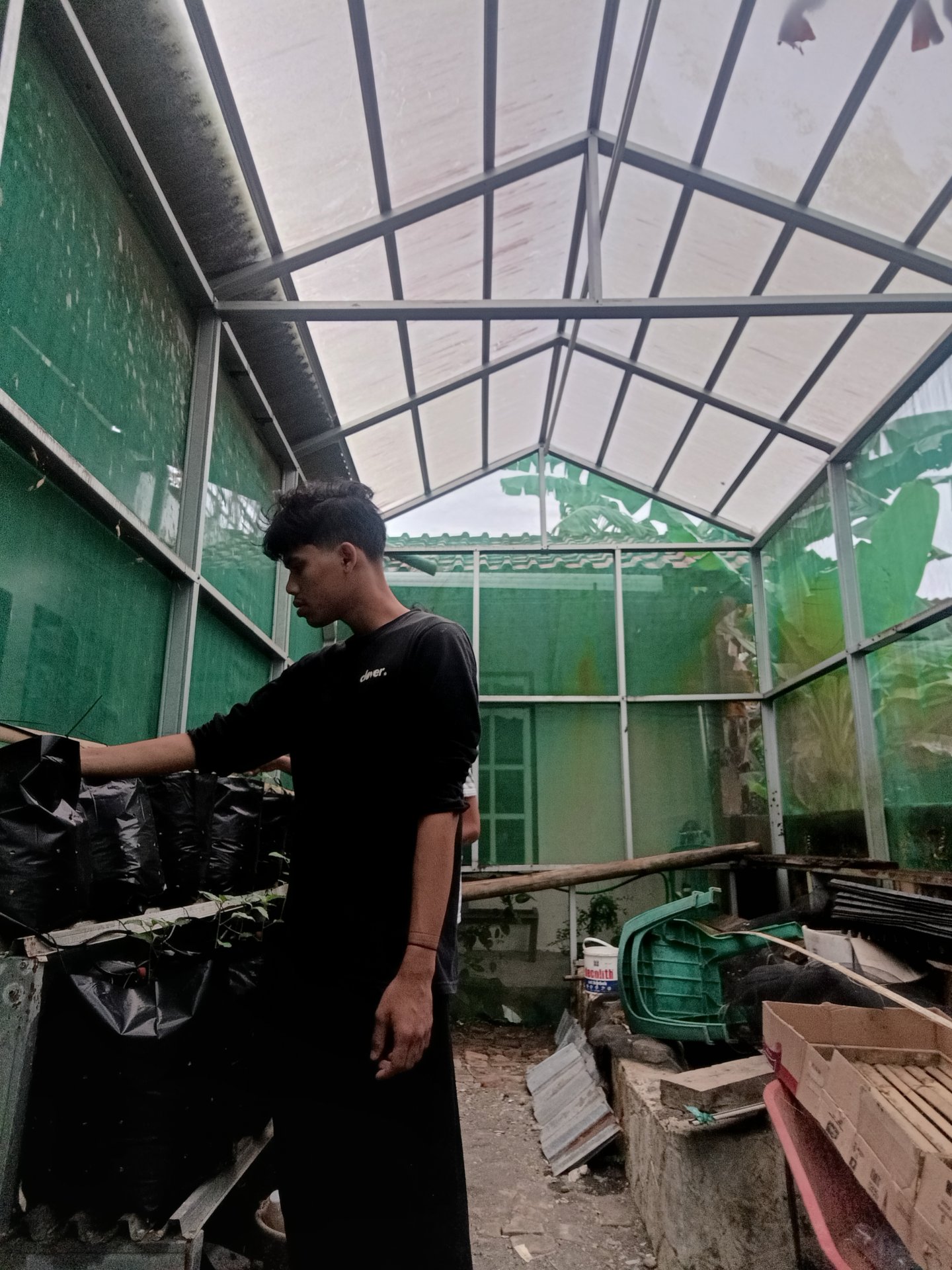 Kegiatan Hari Ke 15 | Demplot pertanian