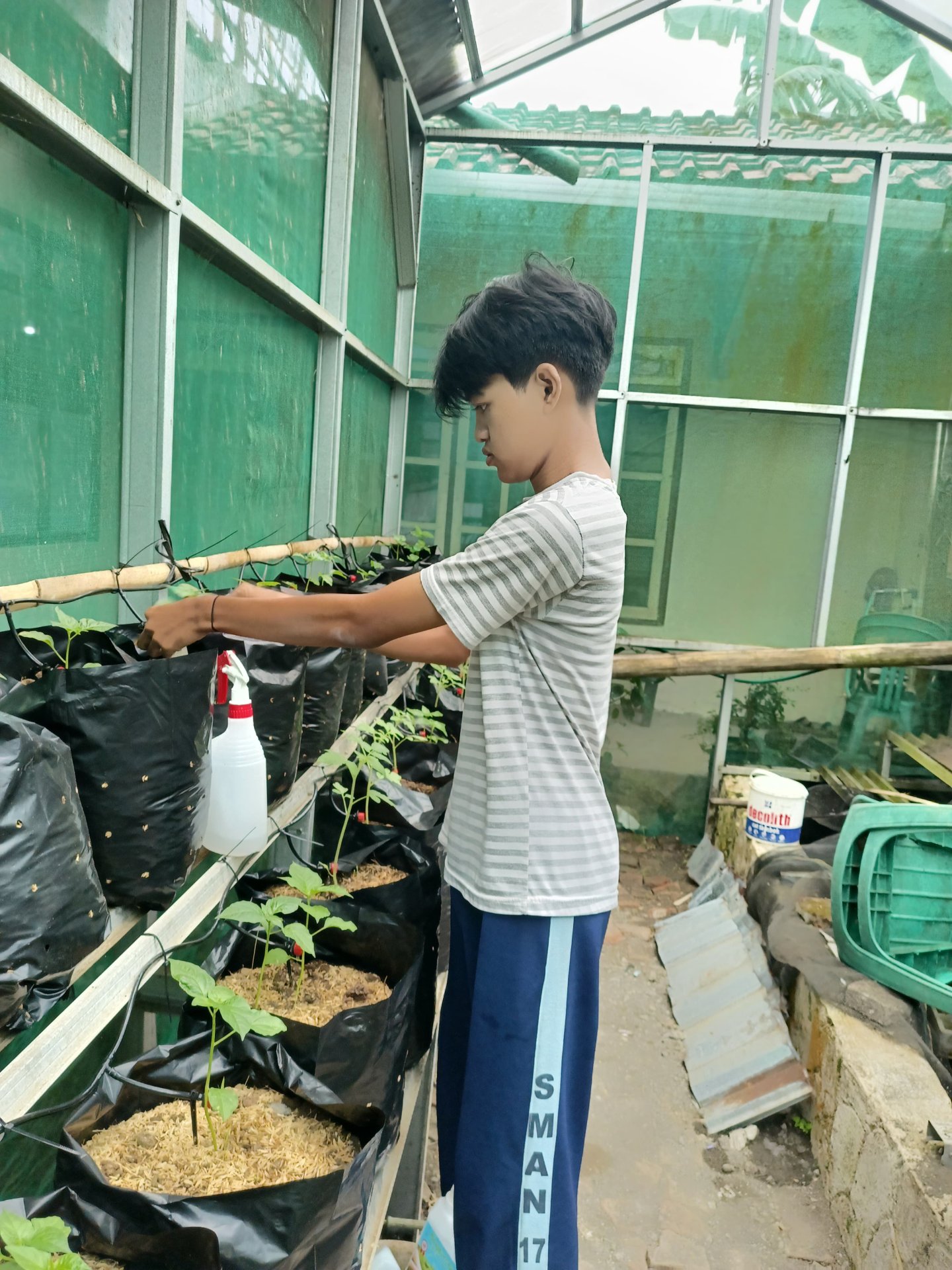 Kegiatan Hari Ke 15| Bagian 3 : Demplot pertanian