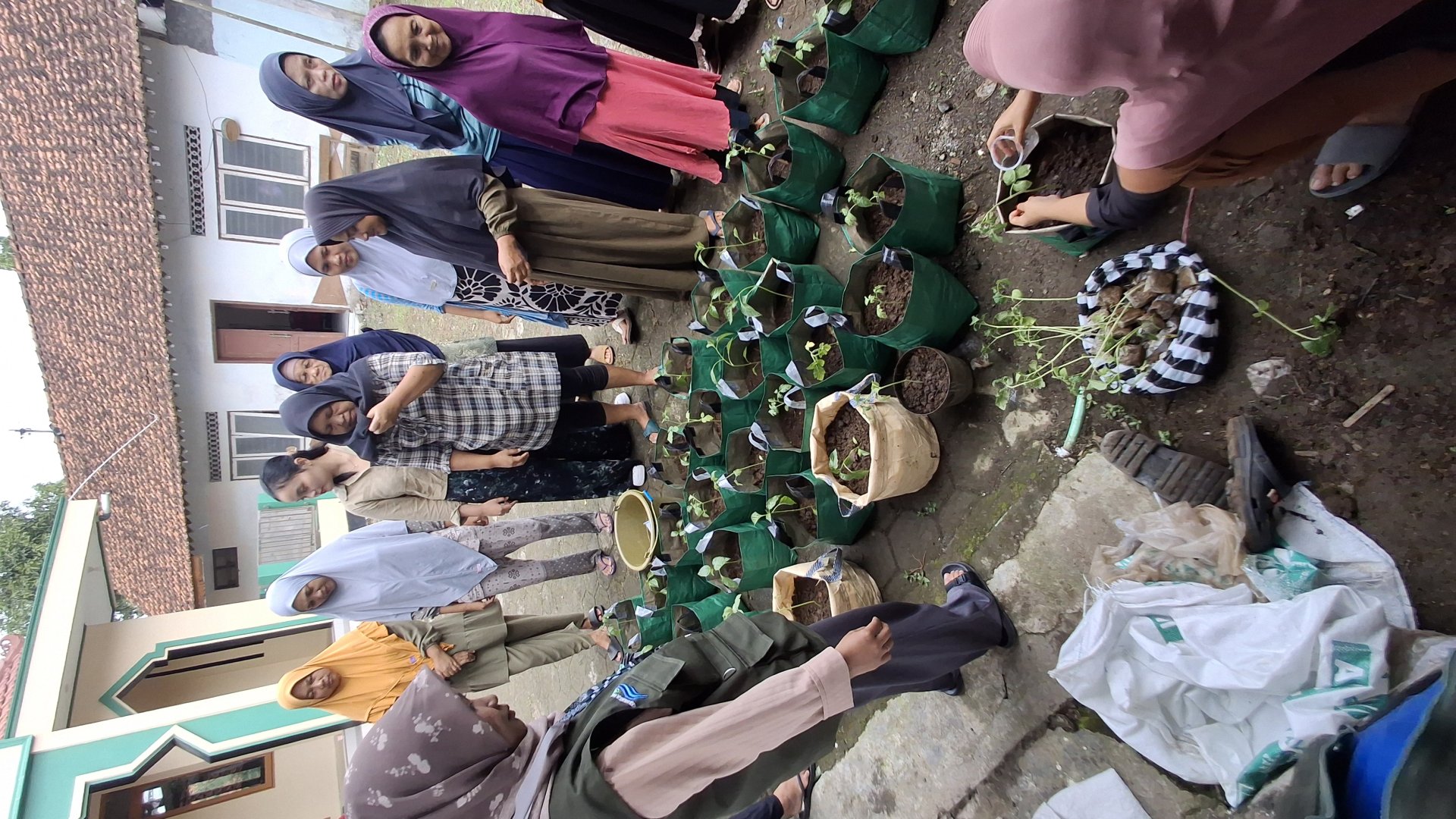 Intensifikasi Pekarangan