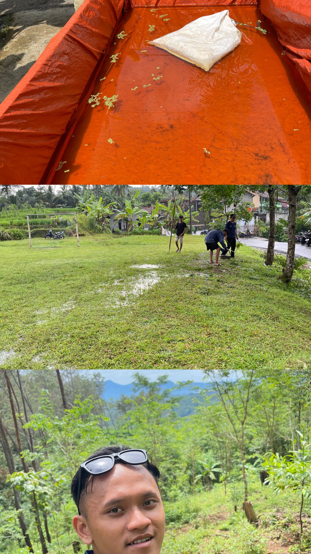 Day 15-Monitoring Budidaya azolla, mengunjungi kebun pinus warga dan kerja bakti bersama karangtaruna