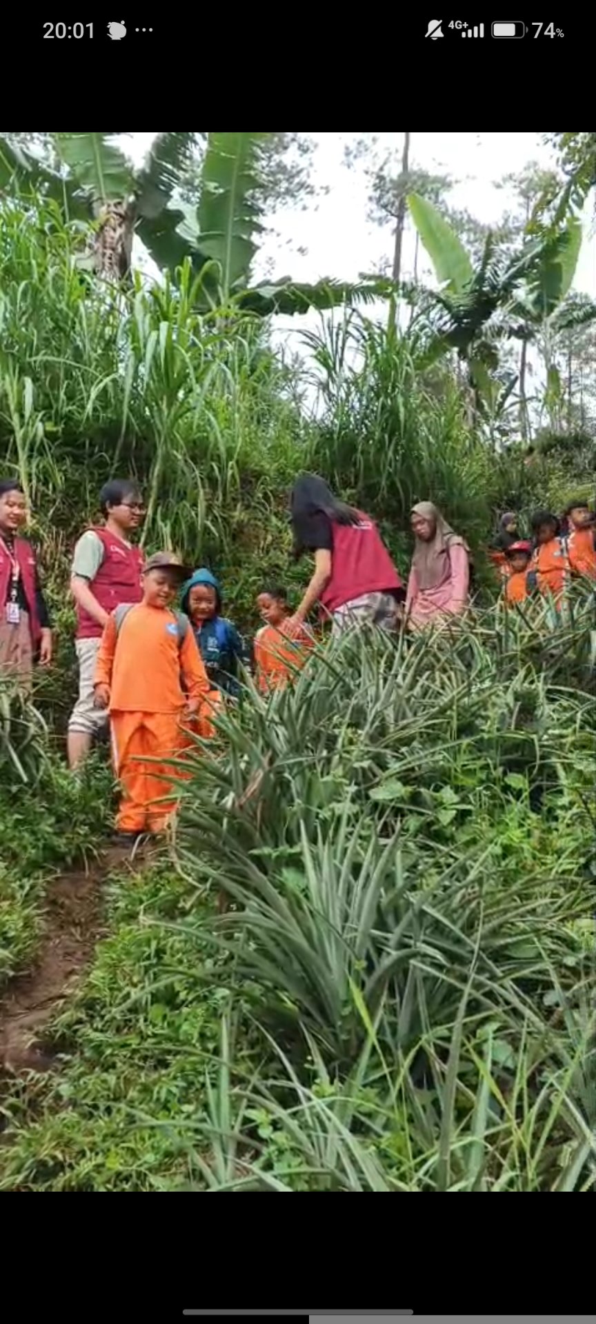 Pemantauan penanaman bibit serentak